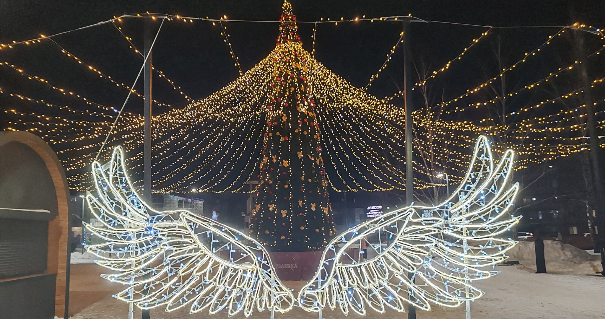 Новогодние ёлки из Мордовии могут стать лучшими в России 