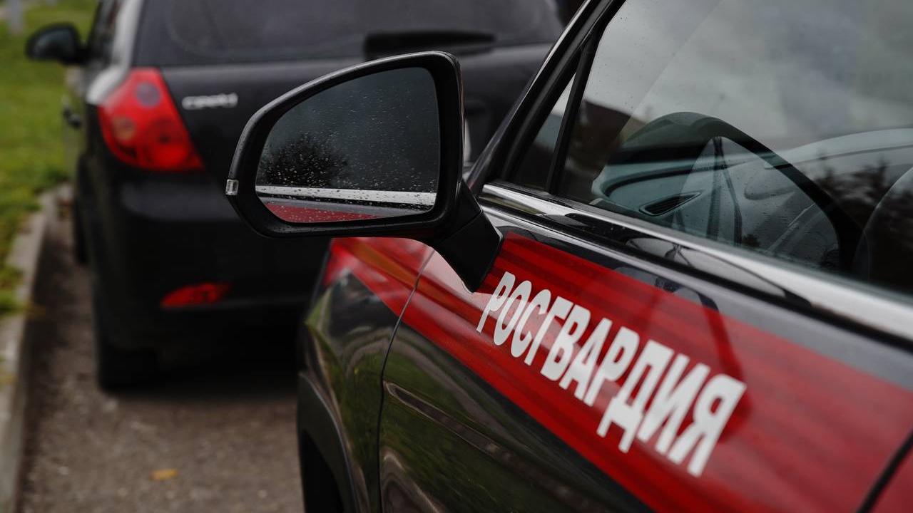 В Мордовии росгвардейцы задержали пьяную автоледи на «Ладе Приоре»