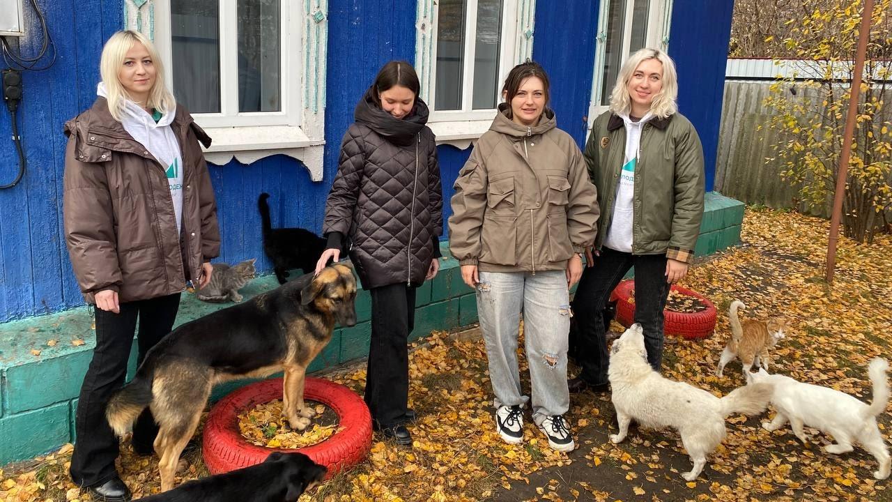 Волонтёры в Мордовии оказали помощь приюту «Лапкин дом»  Волонтёры в Мордовии оказали помощь приюту «Лапкин дом»
