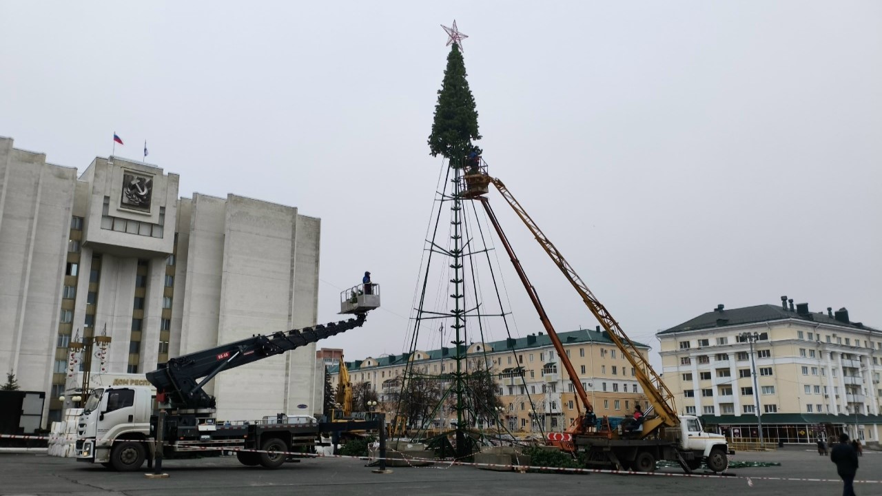 В Саранске собирают главную ёлку города