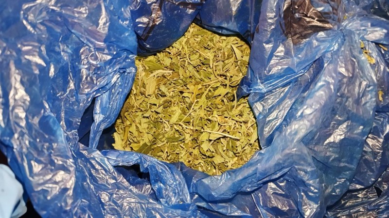 Пьяный наркоман гонял по Саранску на мотоцикле