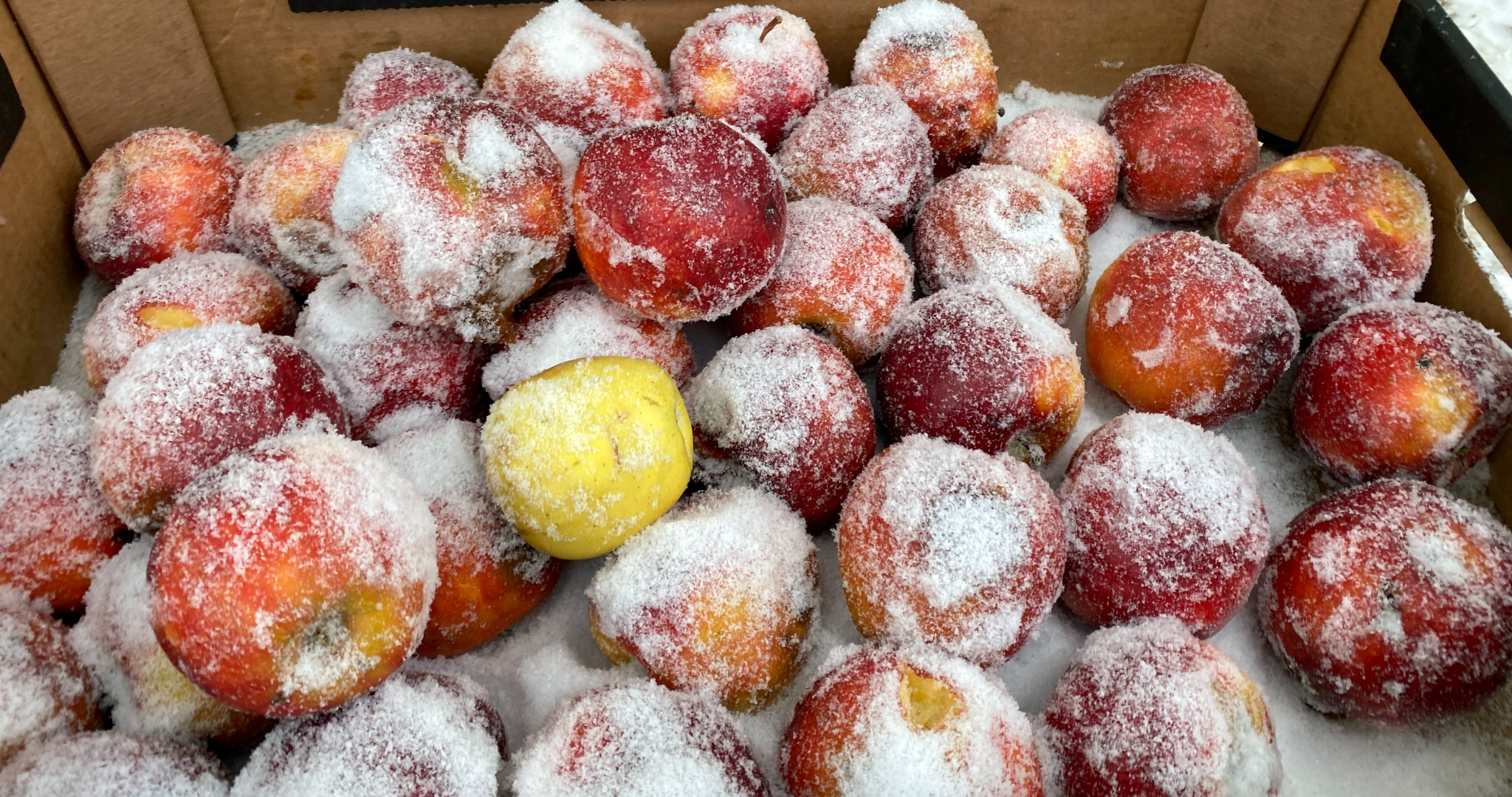 Синоптики предупреждают о возвращении морозов 