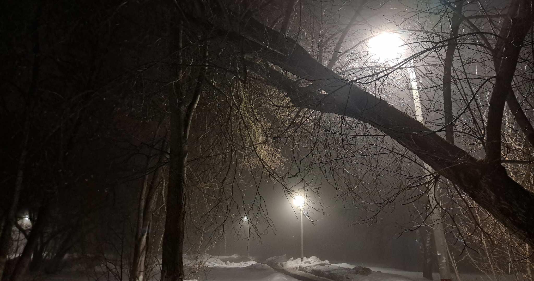 В Саранске стало светлее после вмешательства прокуратуры 