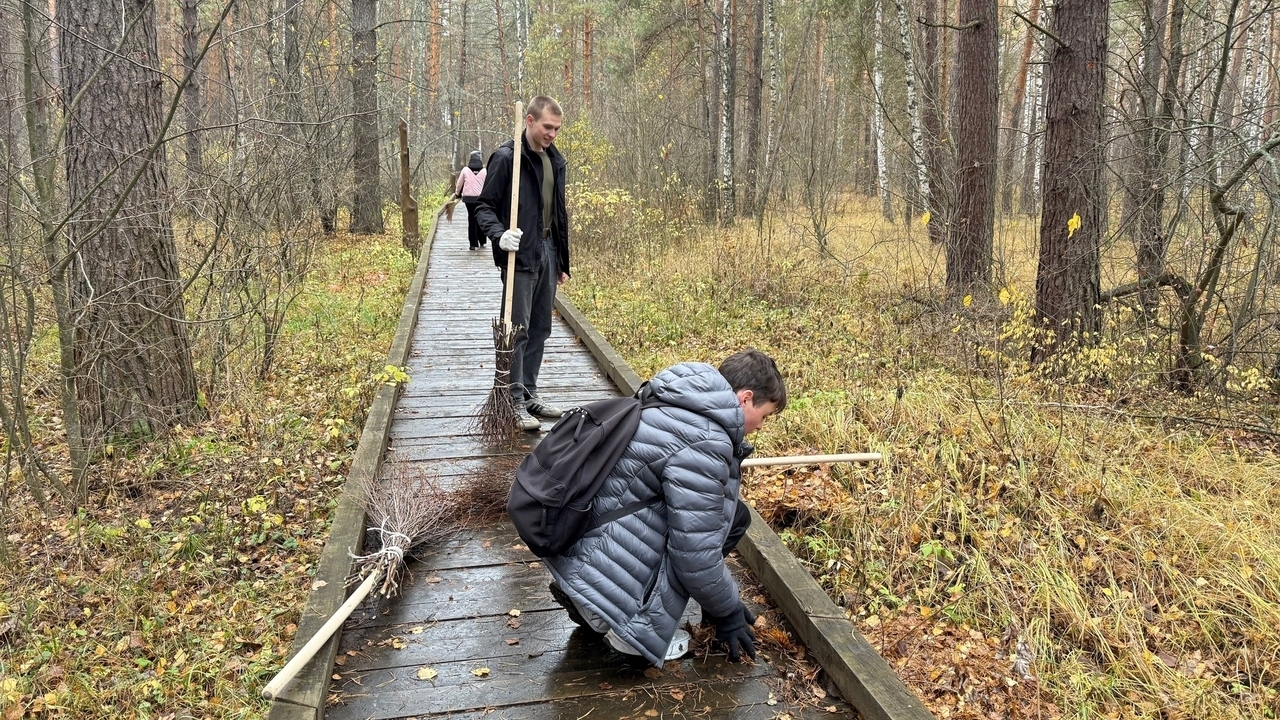 В Мордовии от мусора очистили национальный парк «Смольный»  В Мордовии от мусора очистили национальный парк «Смольный»
