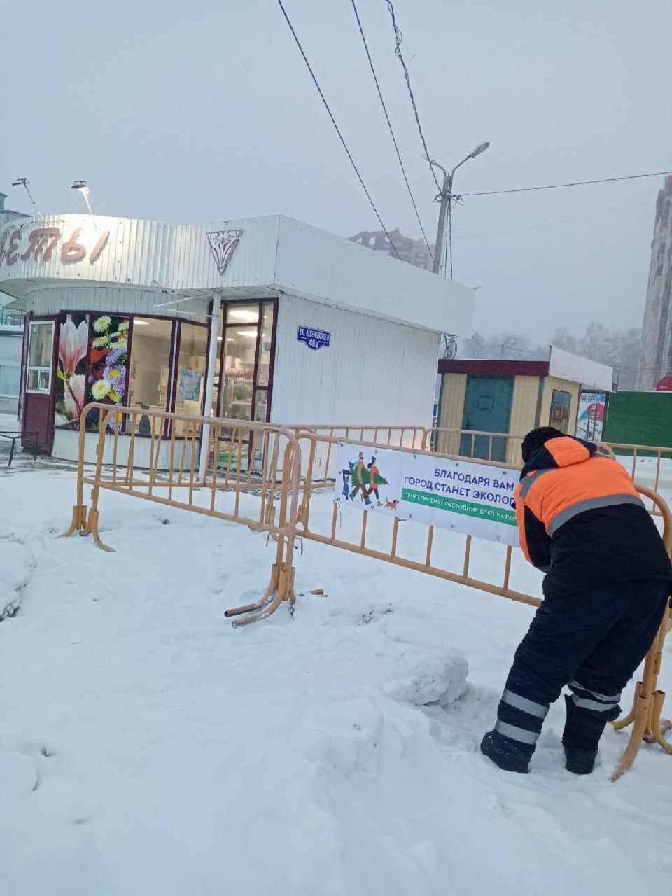 В Саранске из новогодних ёлок будут делать удобрение