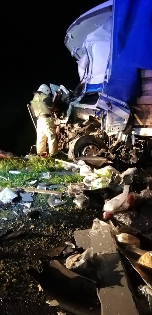 Один человек погиб в столкновении двух грузовиков в Мордовии