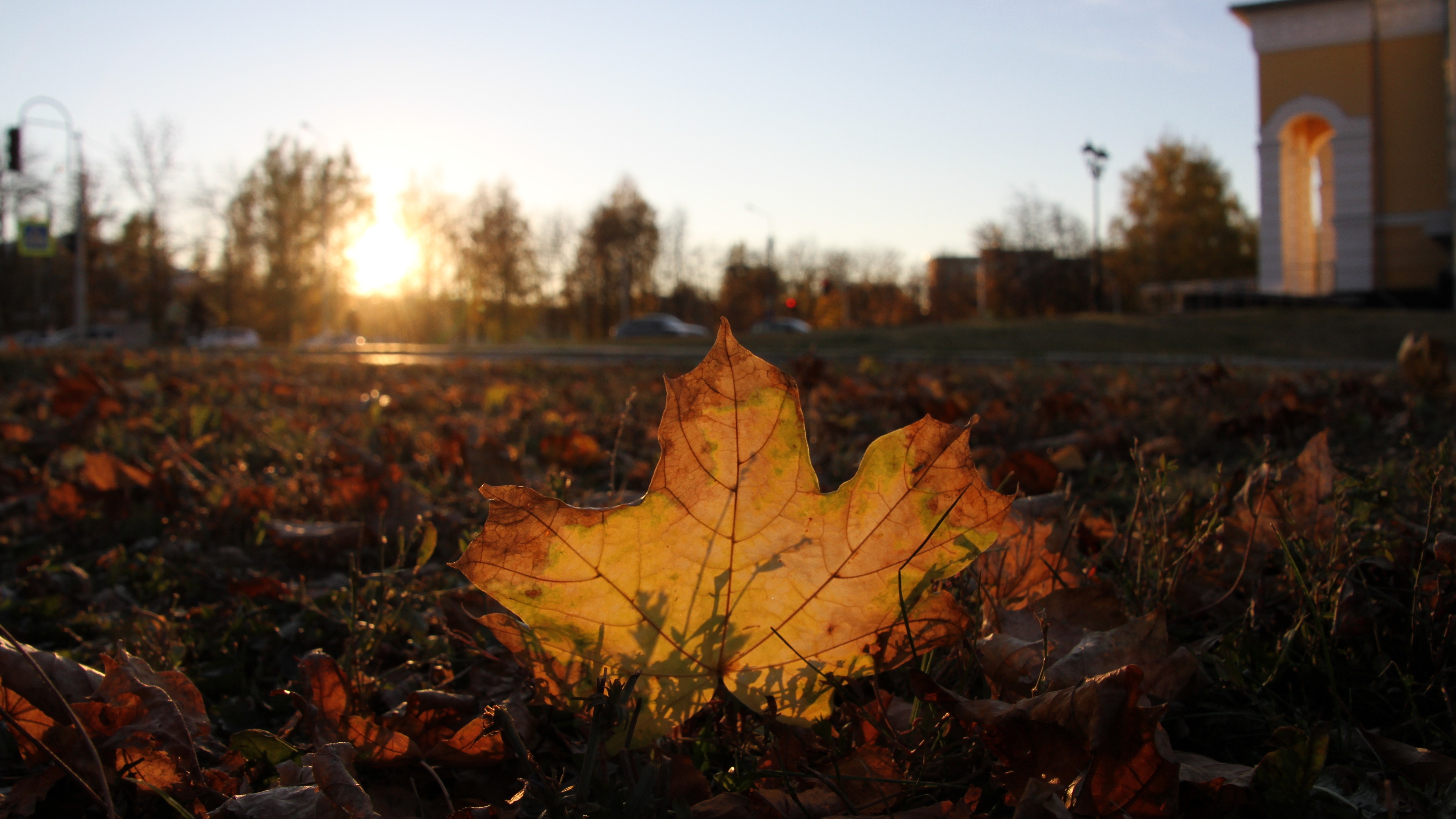 Мордовия не дотянула до температурного рекорда