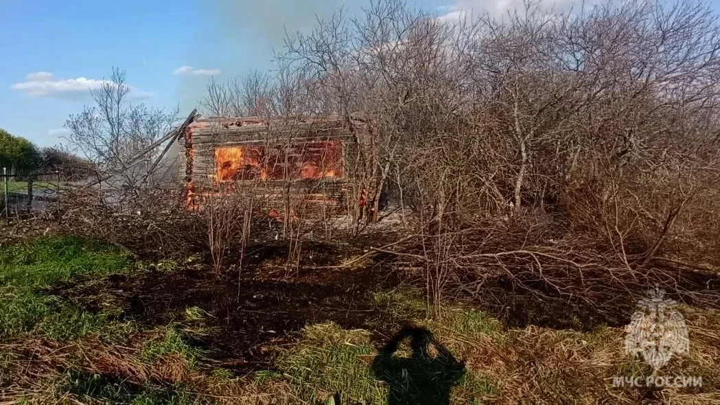 Два строения сгорели в Мордовии из-за пала травы