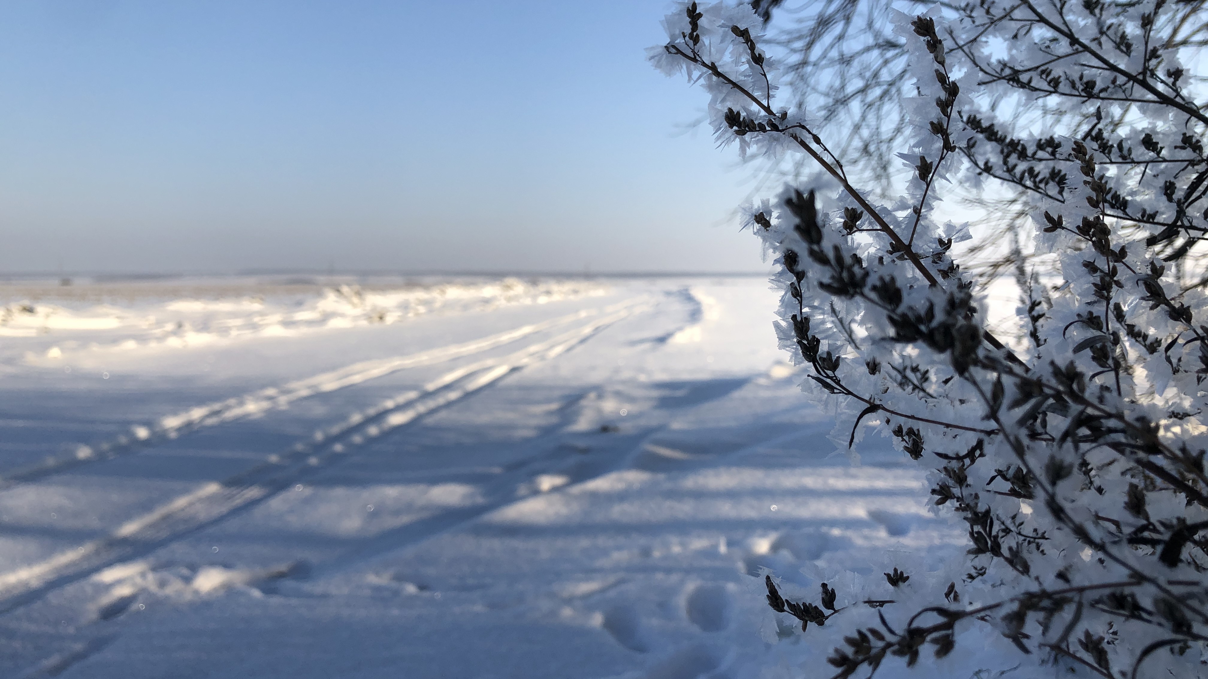 Мордовия – лидер ПФО по количеству снега