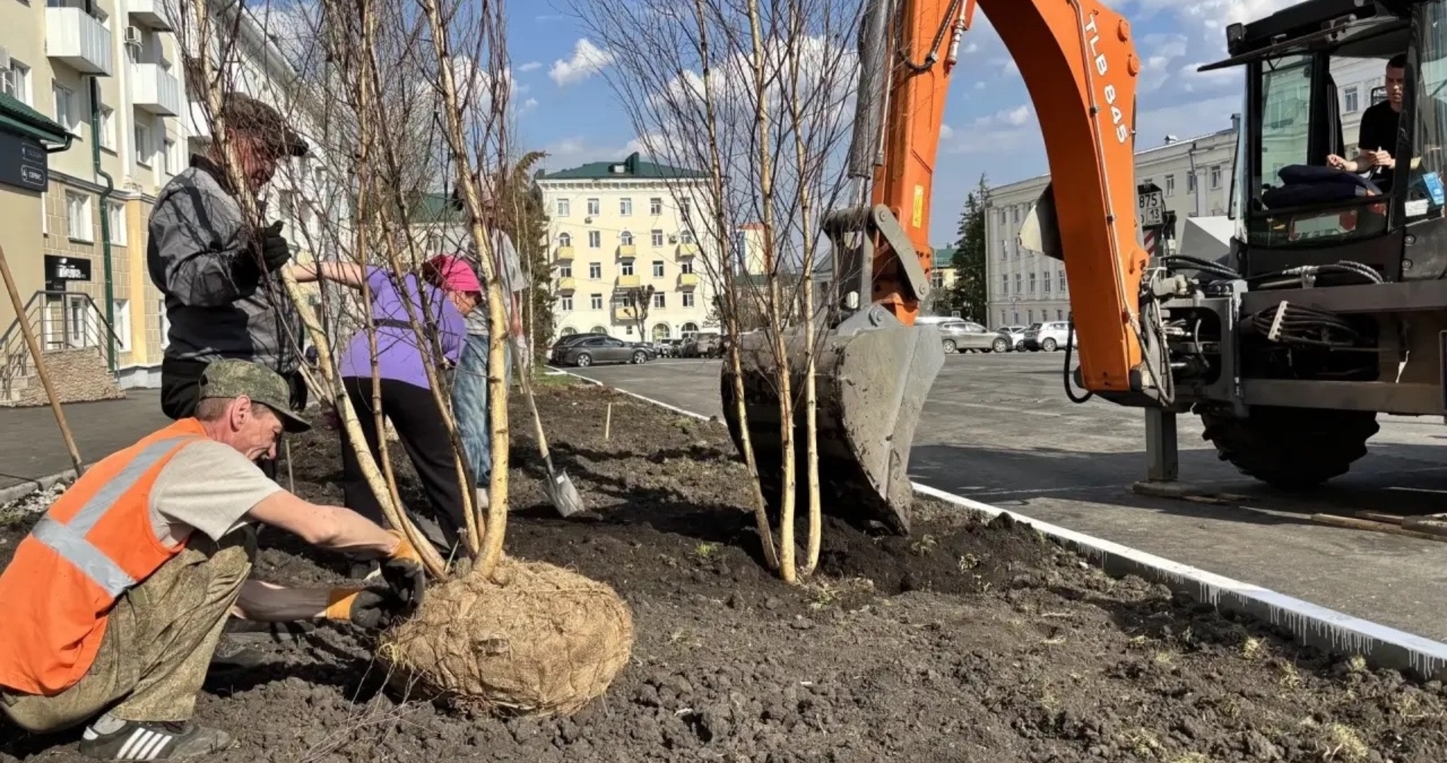 На Советской площади в Саранске начали высаживать берёзы и яблони 