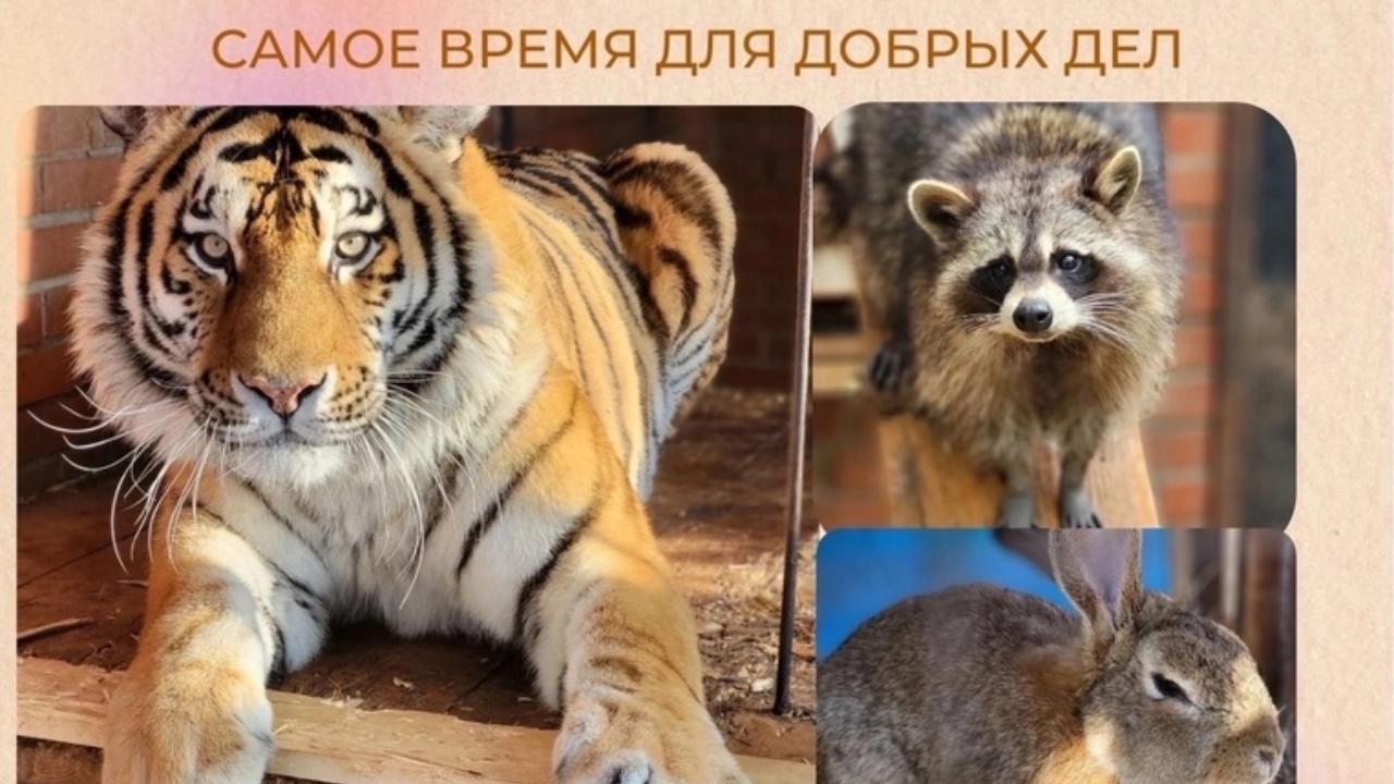 Акция «Игрушки для животных» проходит в саранском зоопарке