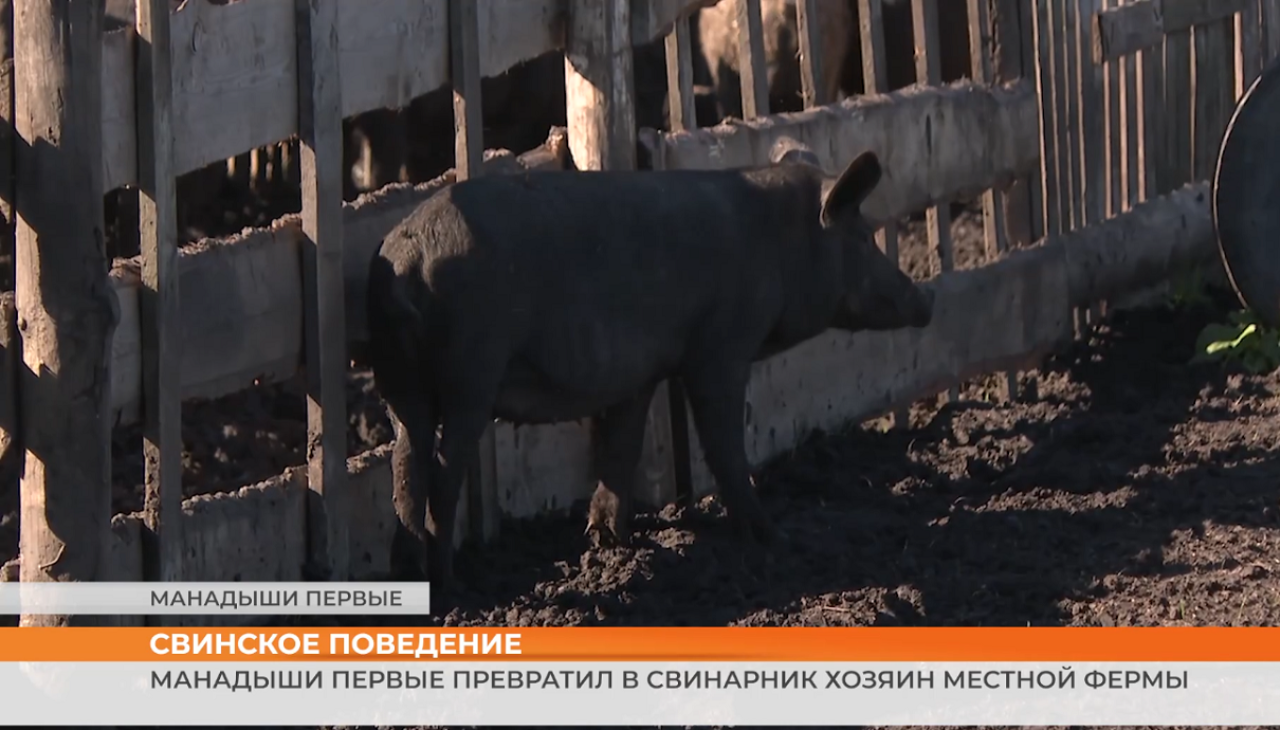 ▶️ Видеоновости | 28 сентября 2026 года