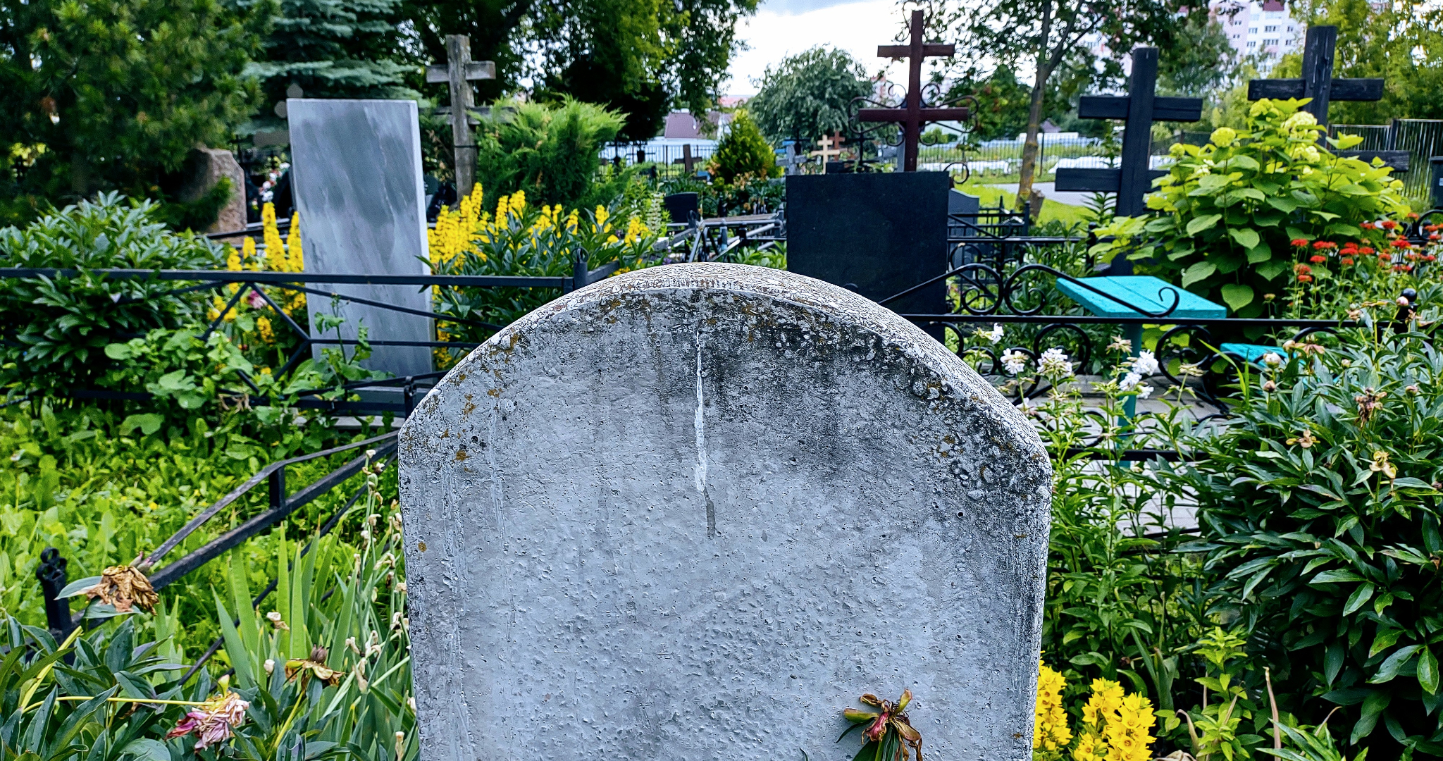 Я живой: пенсионеру через суд пришлось доказывать своё существование 