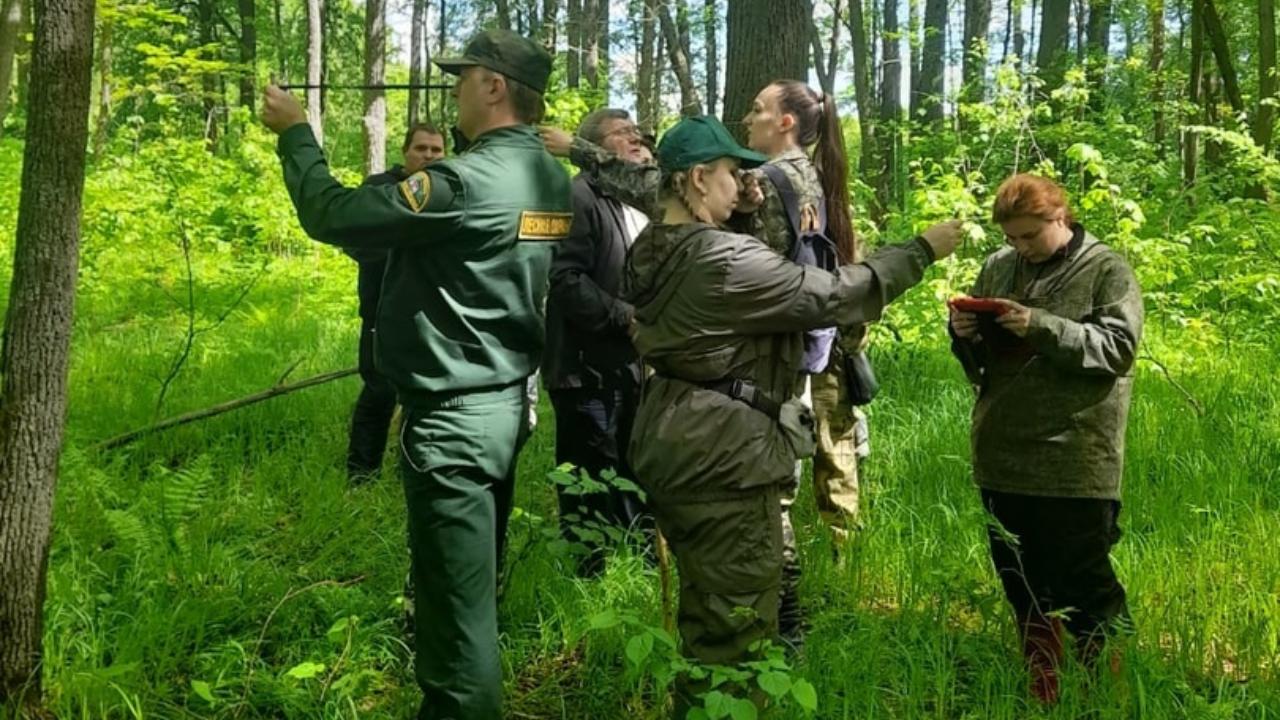 В Мордовии прошла тренировка по таксации лесов