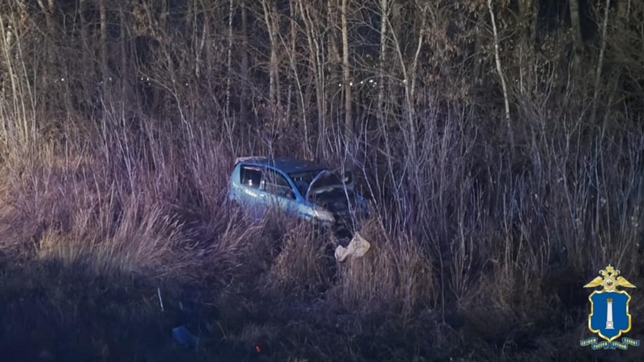 Собака устроила ДТП на дороге «Саранск - Сурское - Ульяновск» 