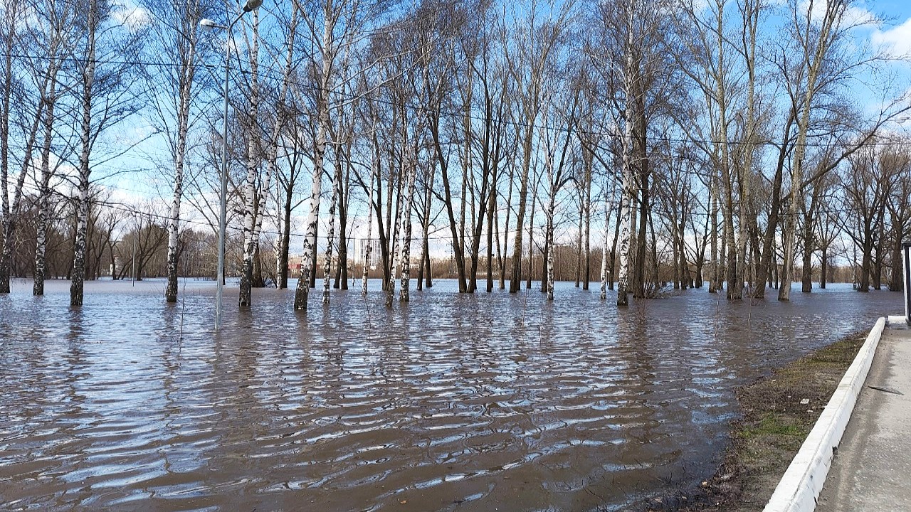 Экопарк в Саранске затоплен на 40 %