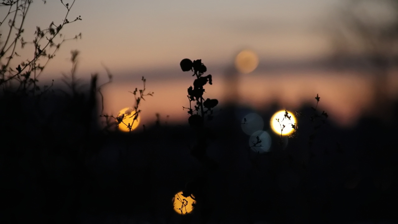 Улица Воинова в Саранске погрузилась во тьму 