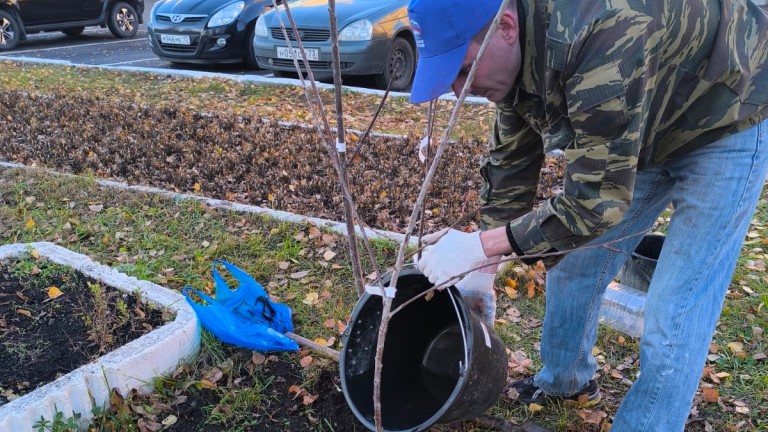 В Саранске посадили черешни, вишни и сливы