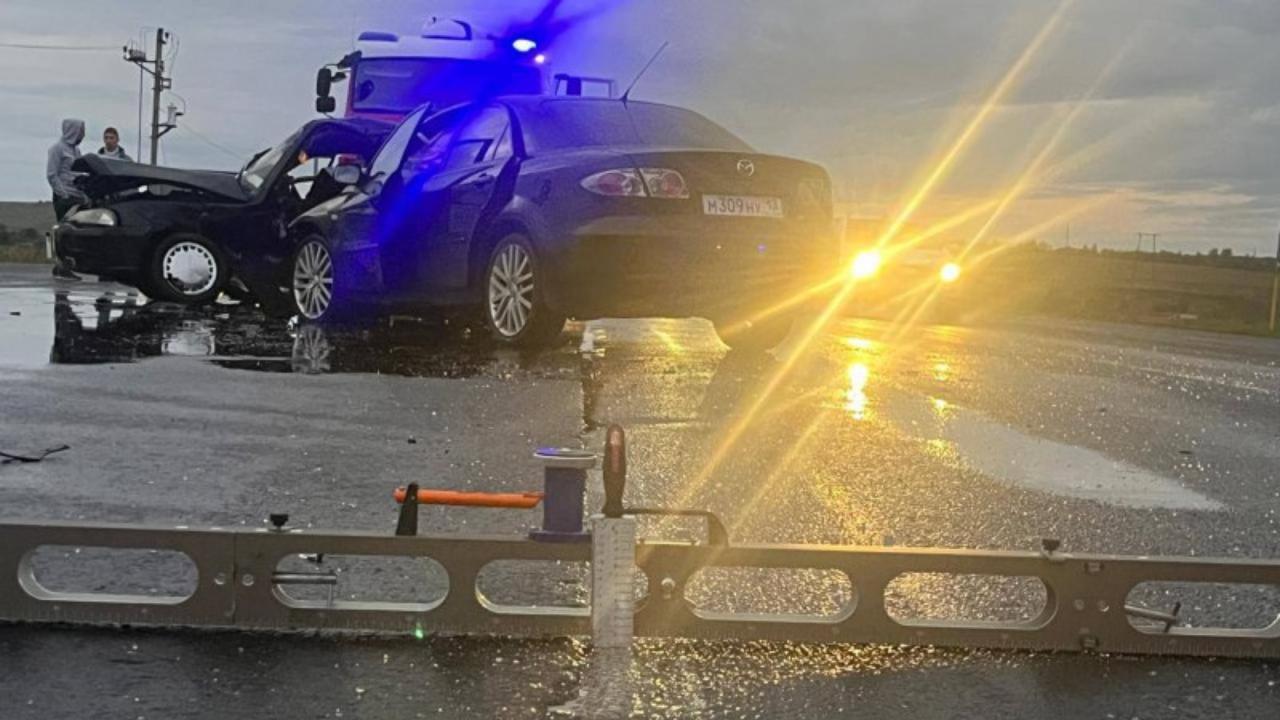 Пьяный водитель «Дэу» пострадал в ДТП на трассе в Мордовии Пьяный водитель «Дэу» пострадал в ДТП на трассе в Мордовии