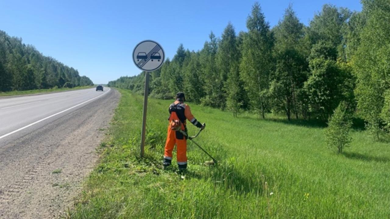 На федеральных трассах в Мордовии убирают траву На федеральных трассах в Мордовии убирают траву