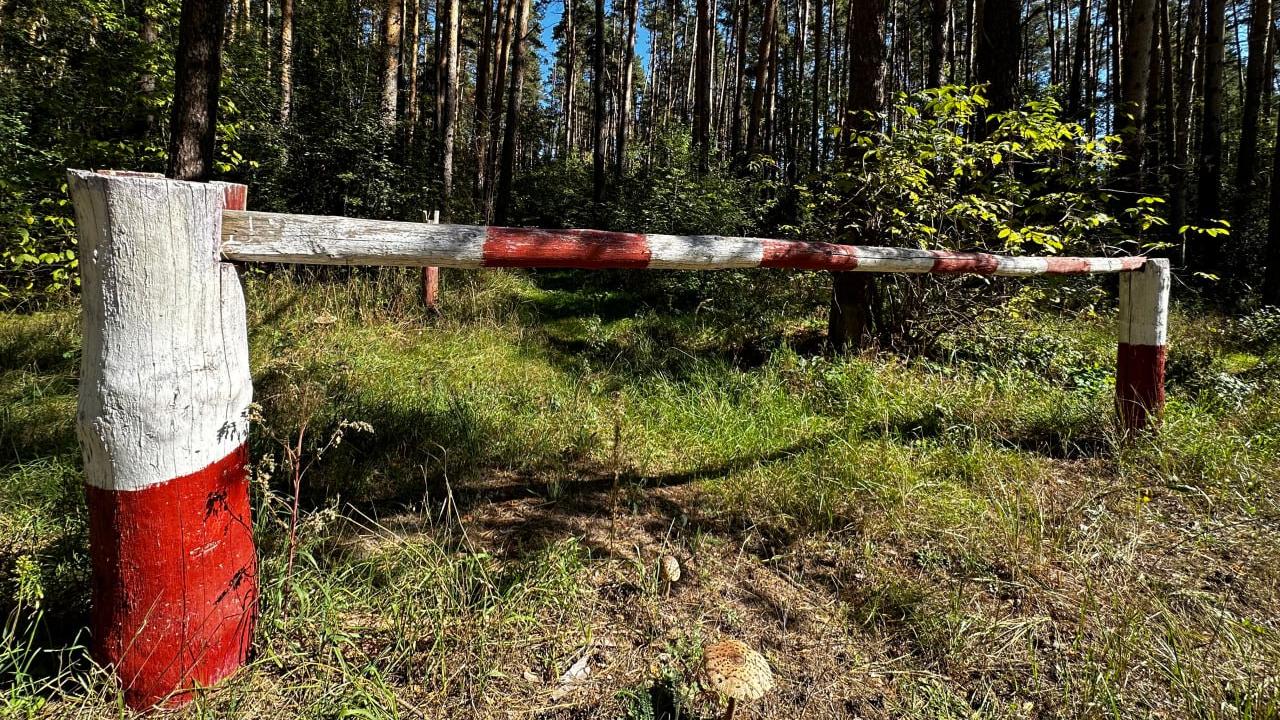 В Мордовии ввели ограничение на посещение лесов В Мордовии ввели ограничение на посещение лесов
