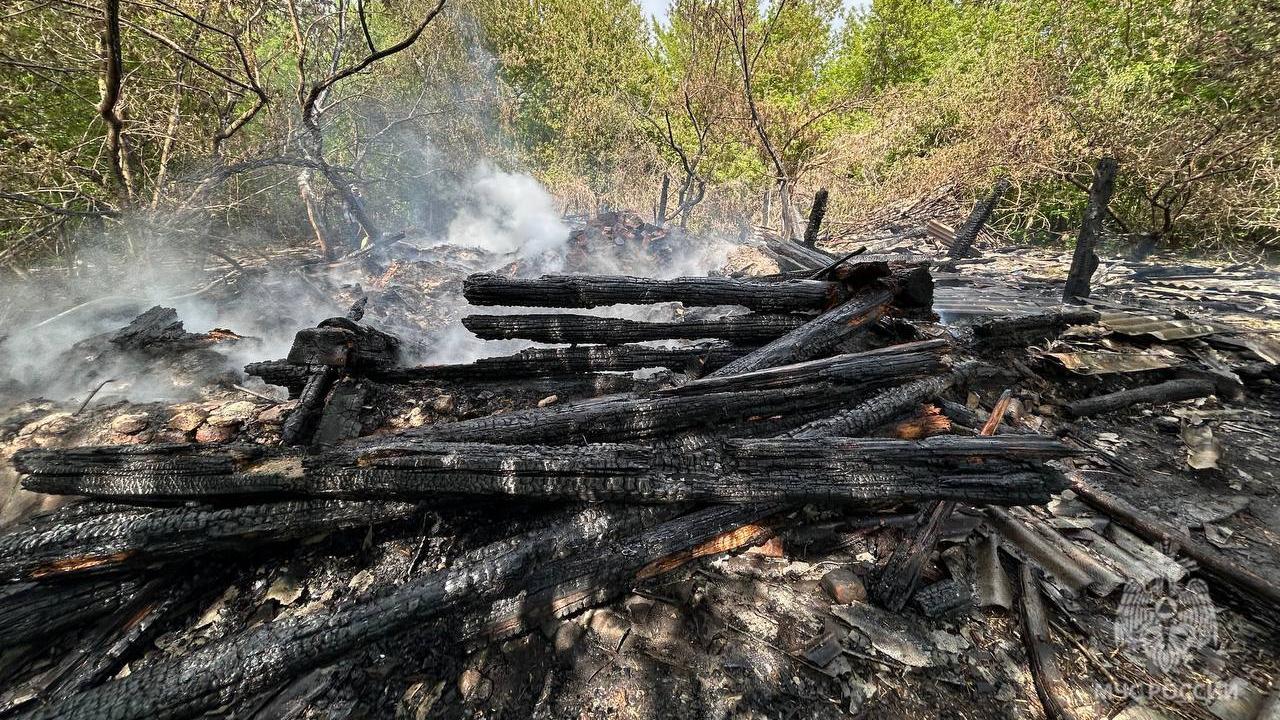 Неэксплуатируемая постройка сгорела в Торбеевском районе Неэксплуатируемая постройка сгорела в Торбеевском районе