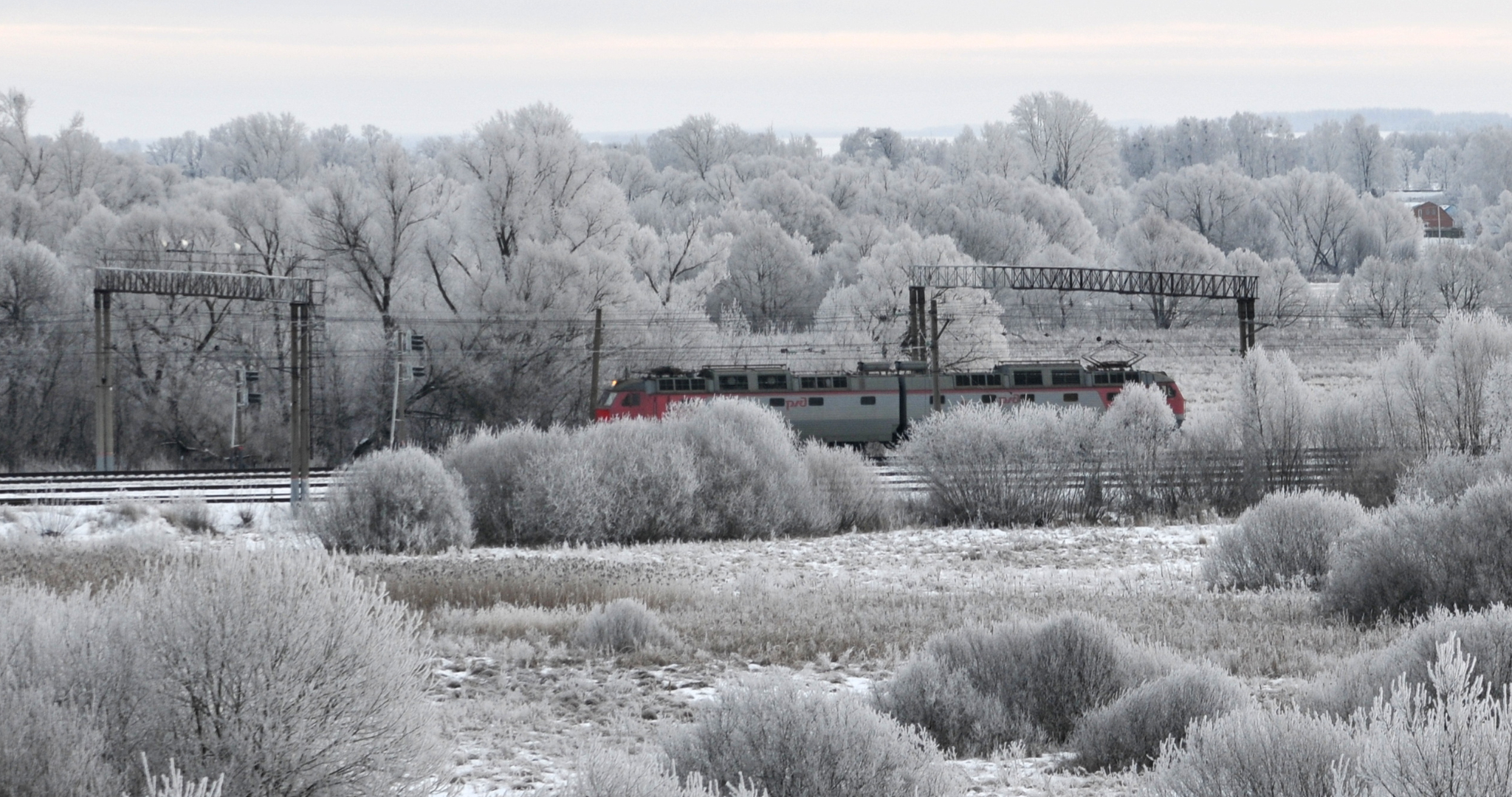 Поезд «Саранск — Нижний Новгород» уже перевёз больше 4,5 тысяч человек 
