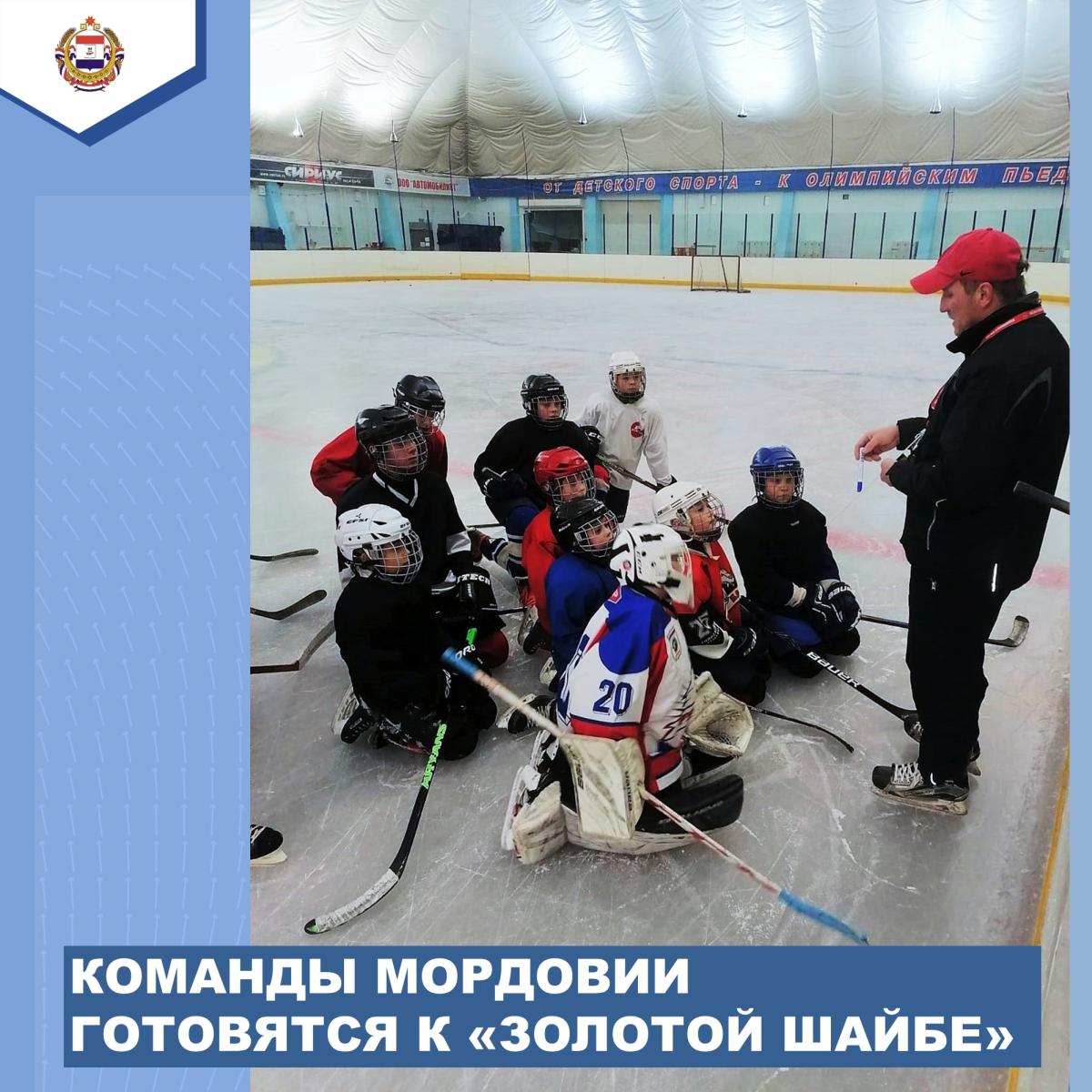 Юные хоккеисты Мордовии поборются за «Золотую шайбу»