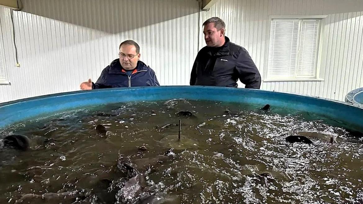  Новый министр сельского хозяйства Мордовии начал работу с поддержки инвестпроектов и выхода на экспорт