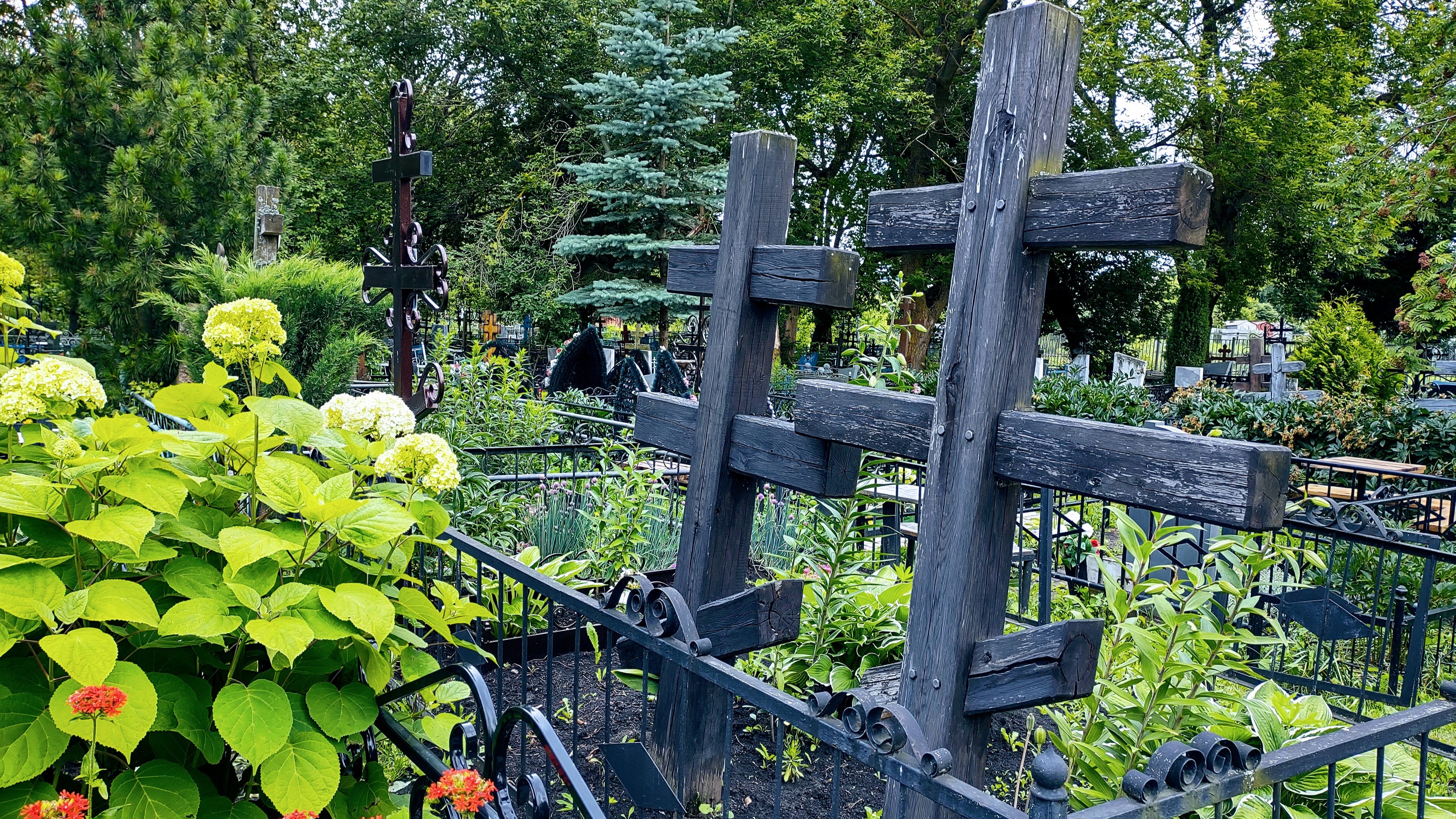 В Саранске на Радоницу до кладбищ пустят автобусы 