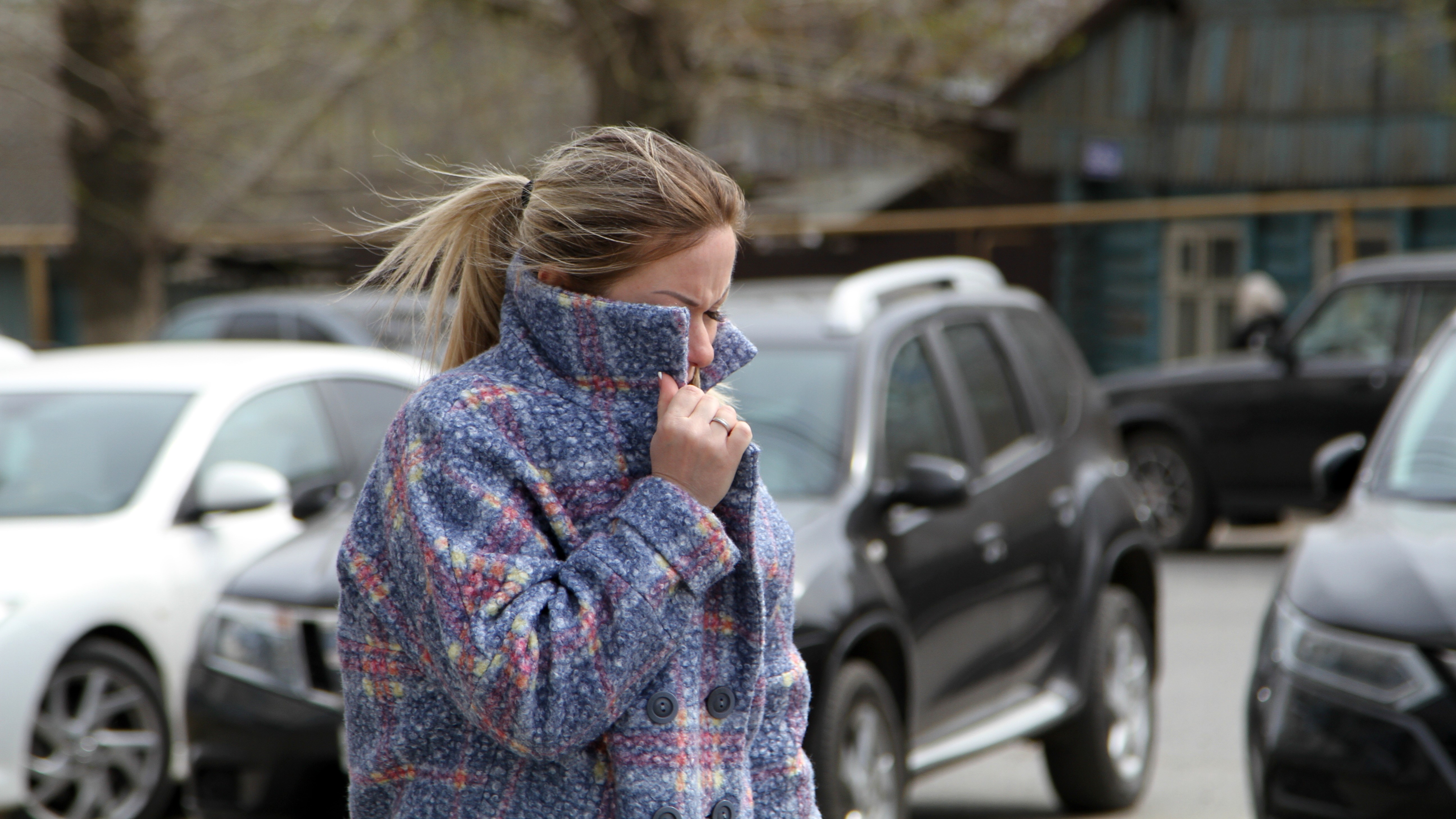 В Мордовии снова ожидается сильный ветер