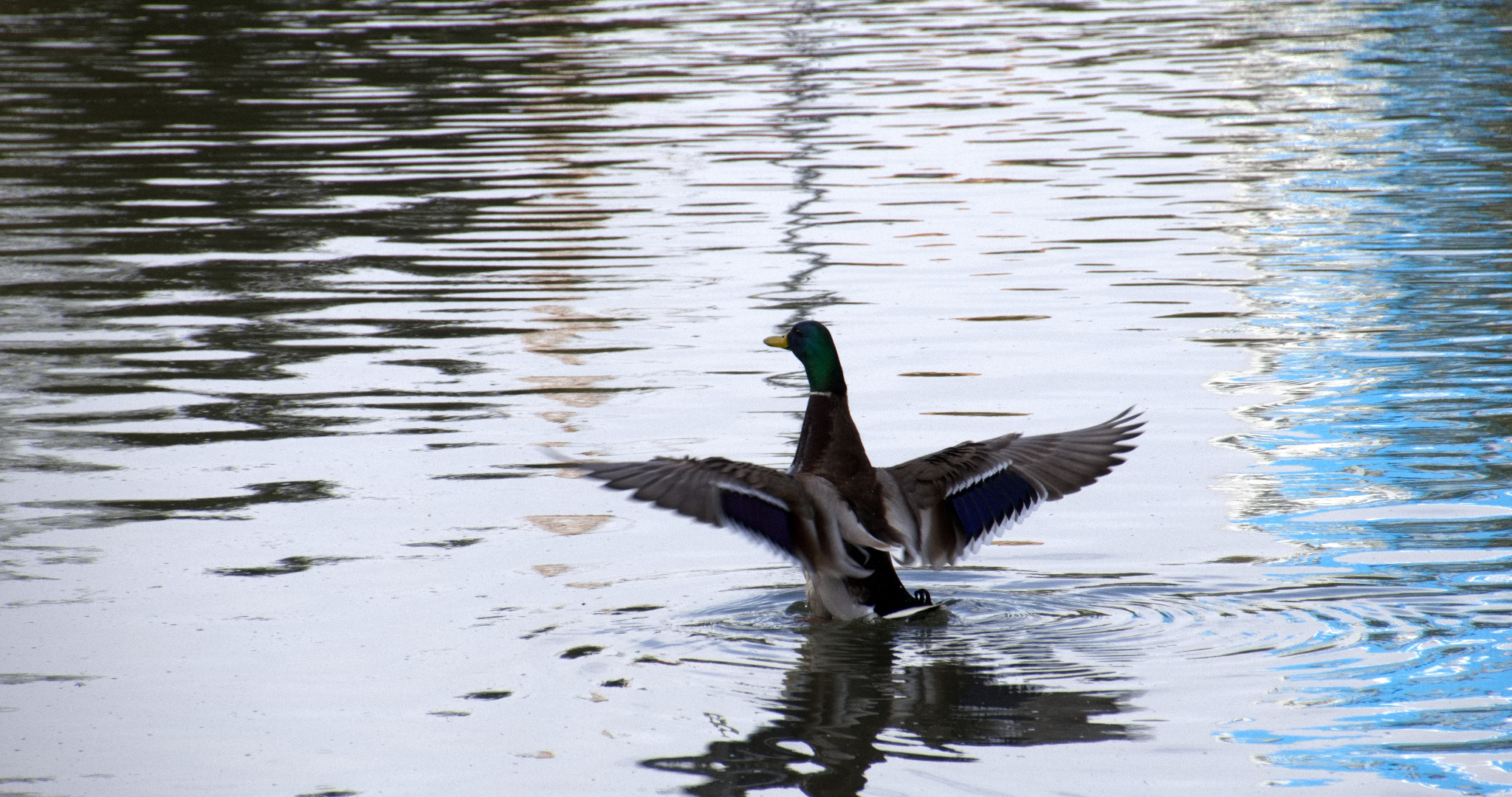 Жителям России напомнили о следующих праздничных выходных 
