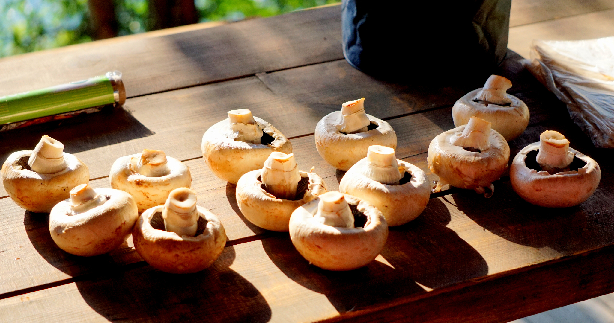 Первые весенние грибы: россиянам рассказали, как избежать отравления 