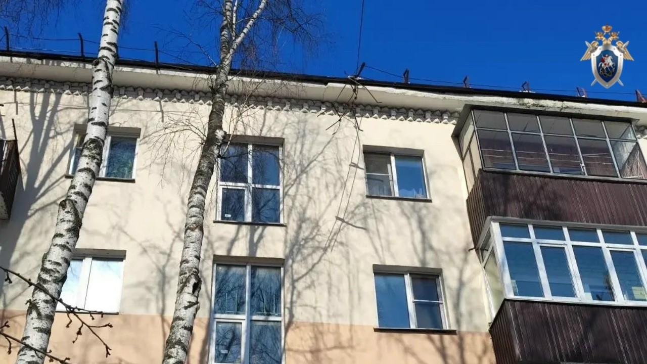 В Мордовии гибелью пенсионерки под глыбой льда заинтересовалась прокуратура