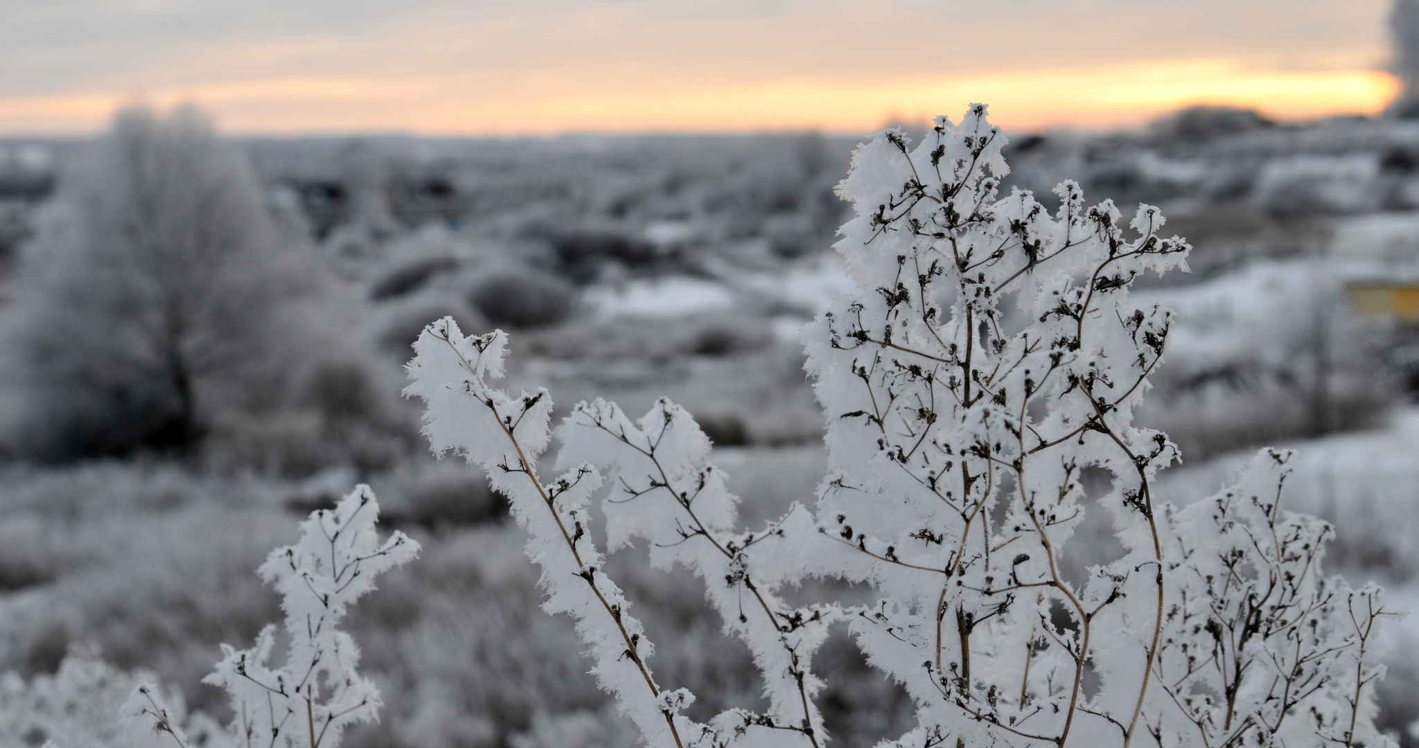 Из-за морозов в Мордовии отменены школьные занятия 