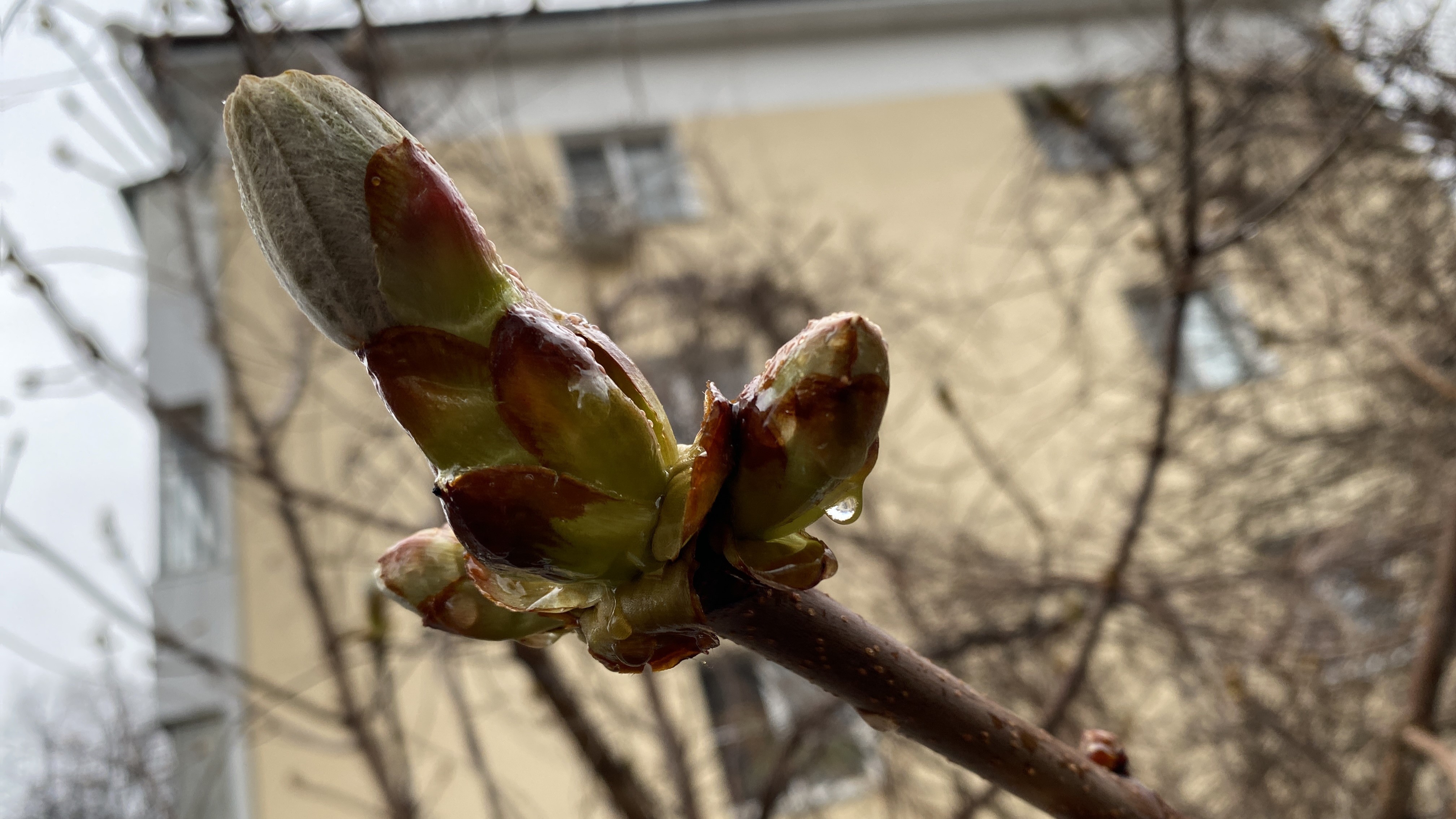 Жителей Мордовии ждёт холодная неделя