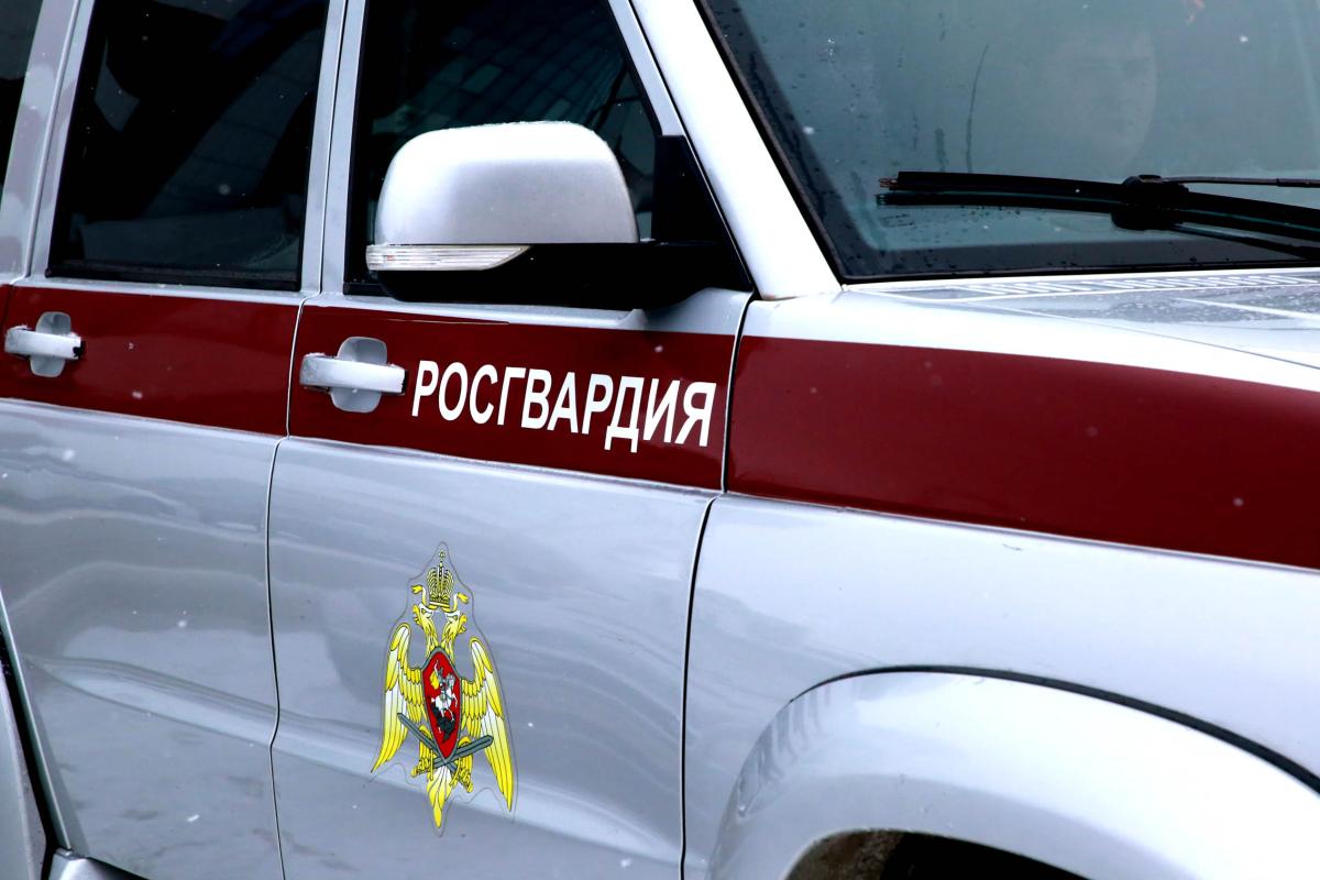 Пьяный водитель врезался в столб на глазах у правоохранителей Мордовии 