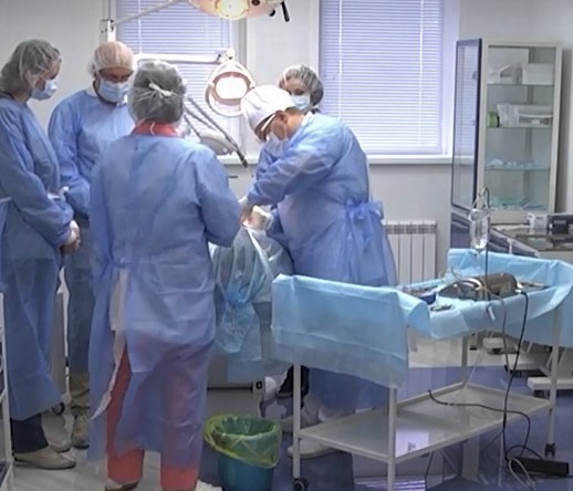 Вопросы онкологии в стоматологии обсуждают в Мордовии