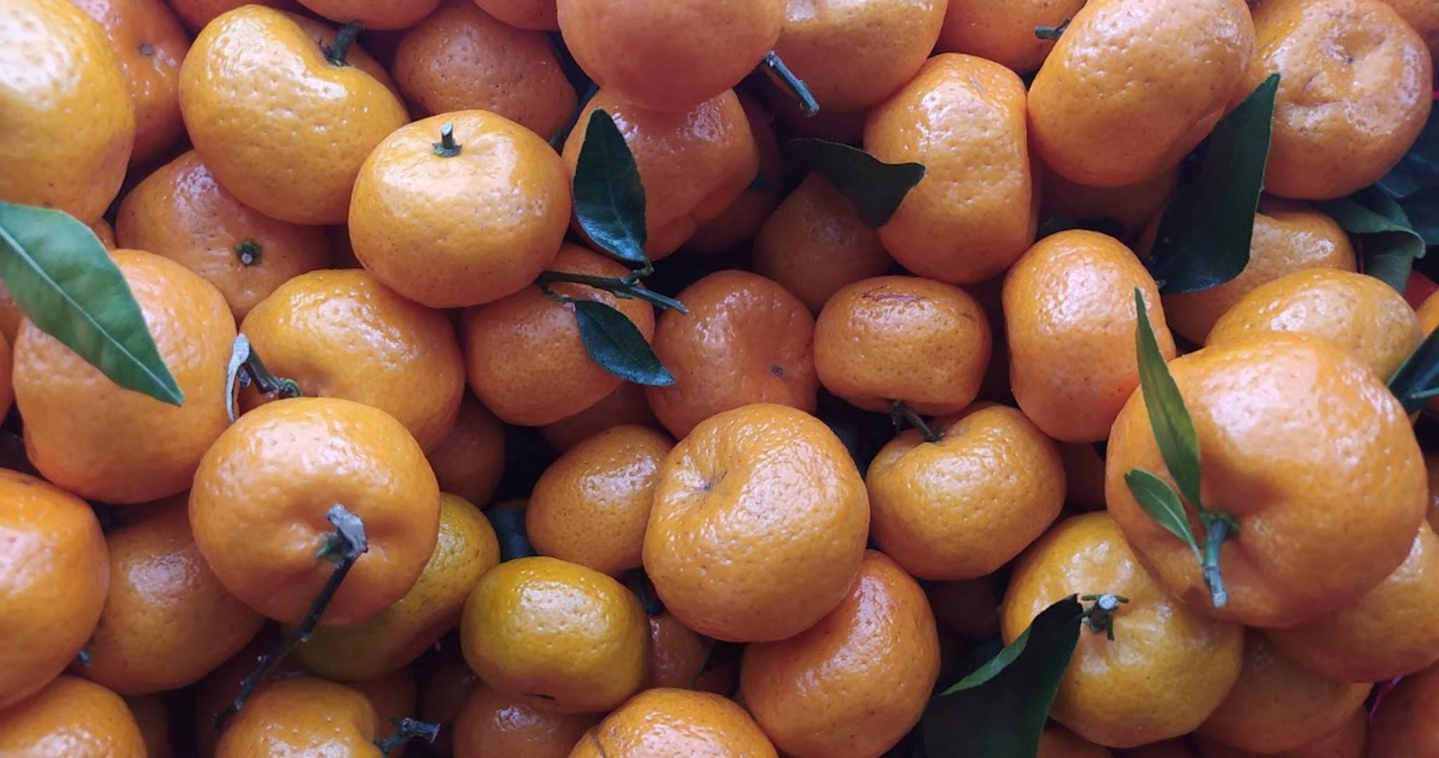 Мандарины в России стали дешевле на 15% 