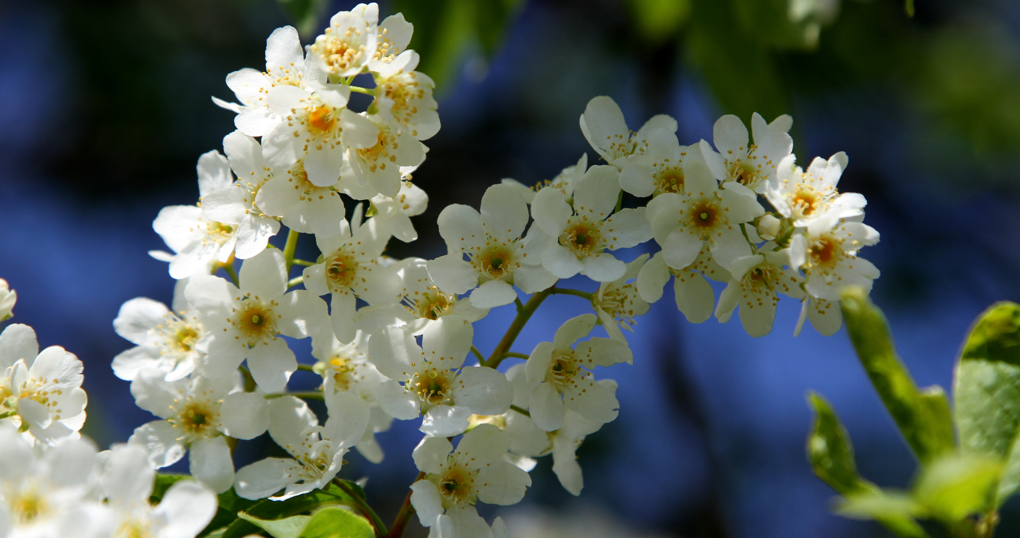 Синоптик рассказал, когда придёт тепло 