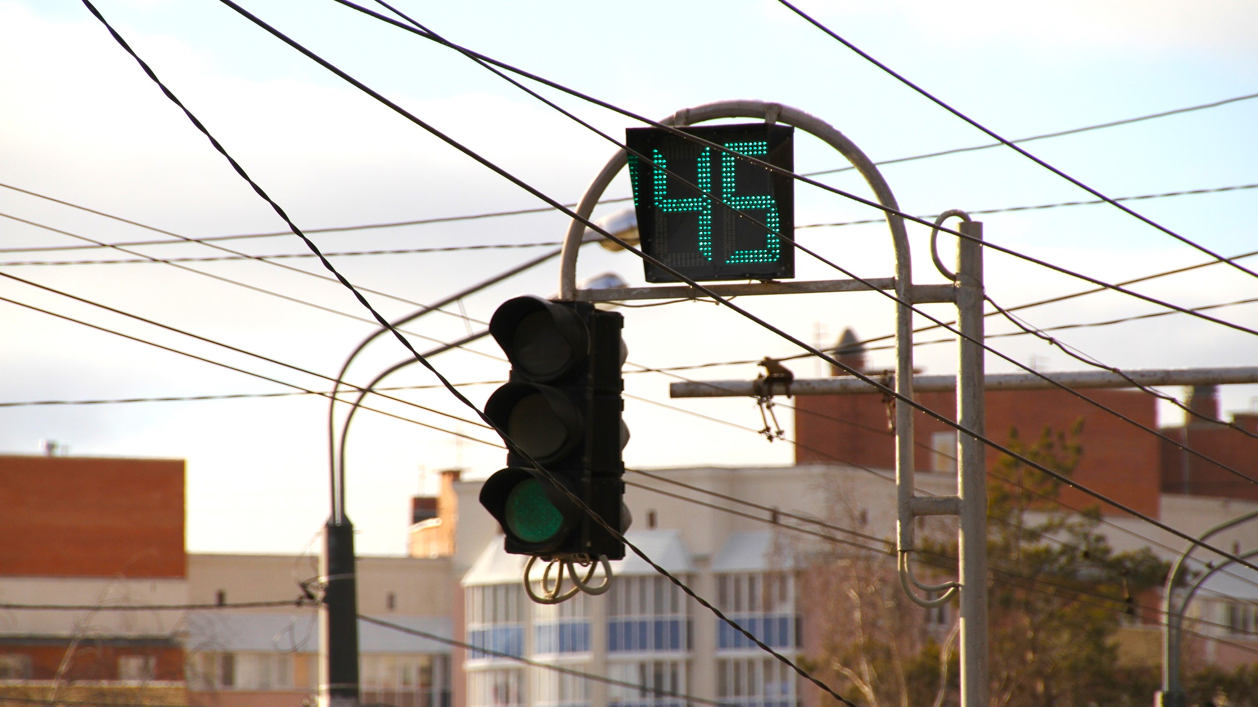 В Саранске около опасной «зебры» установили светофор