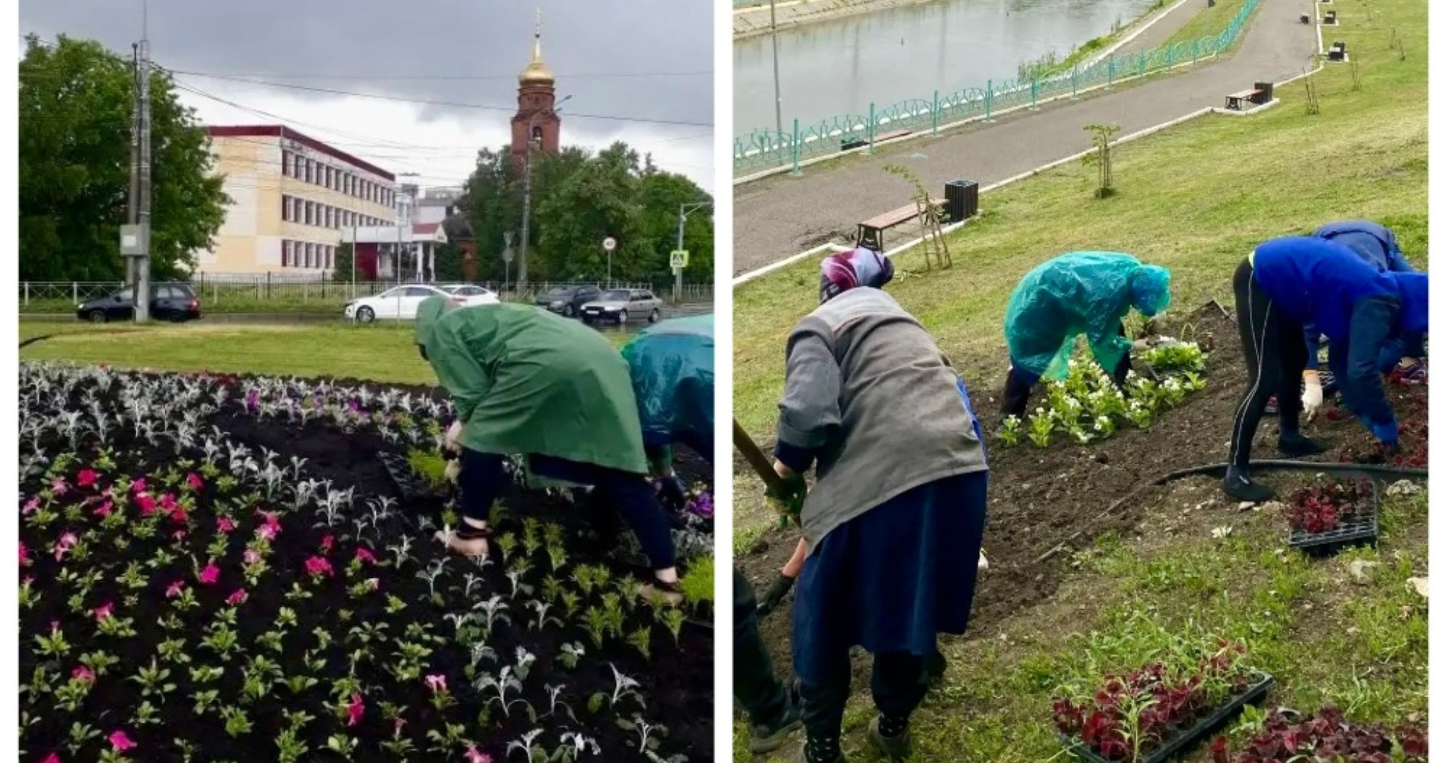 В центре Саранска продолжается высадка цветов 