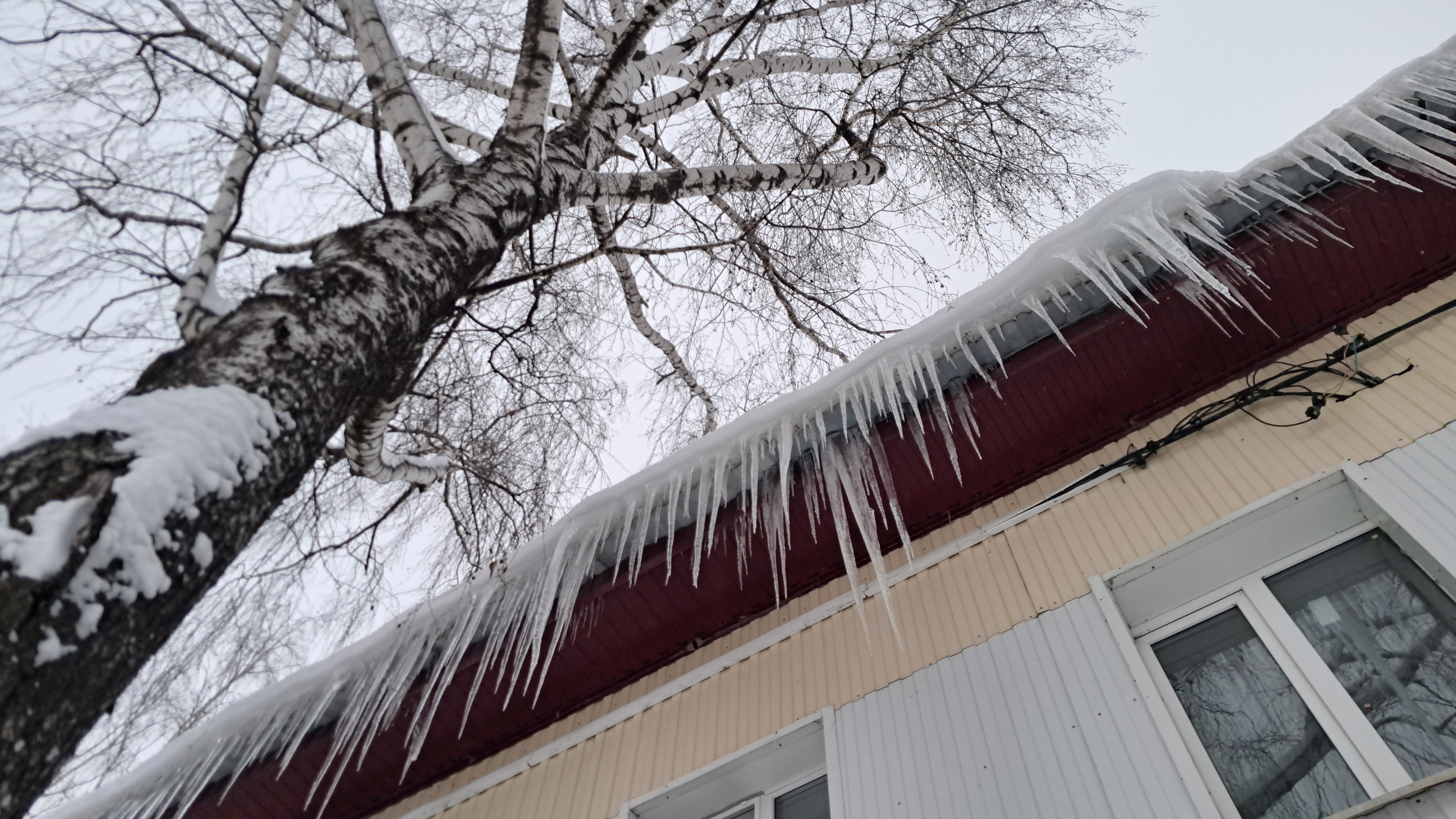 Протекающим детским садом в Саранске занялся Следком России