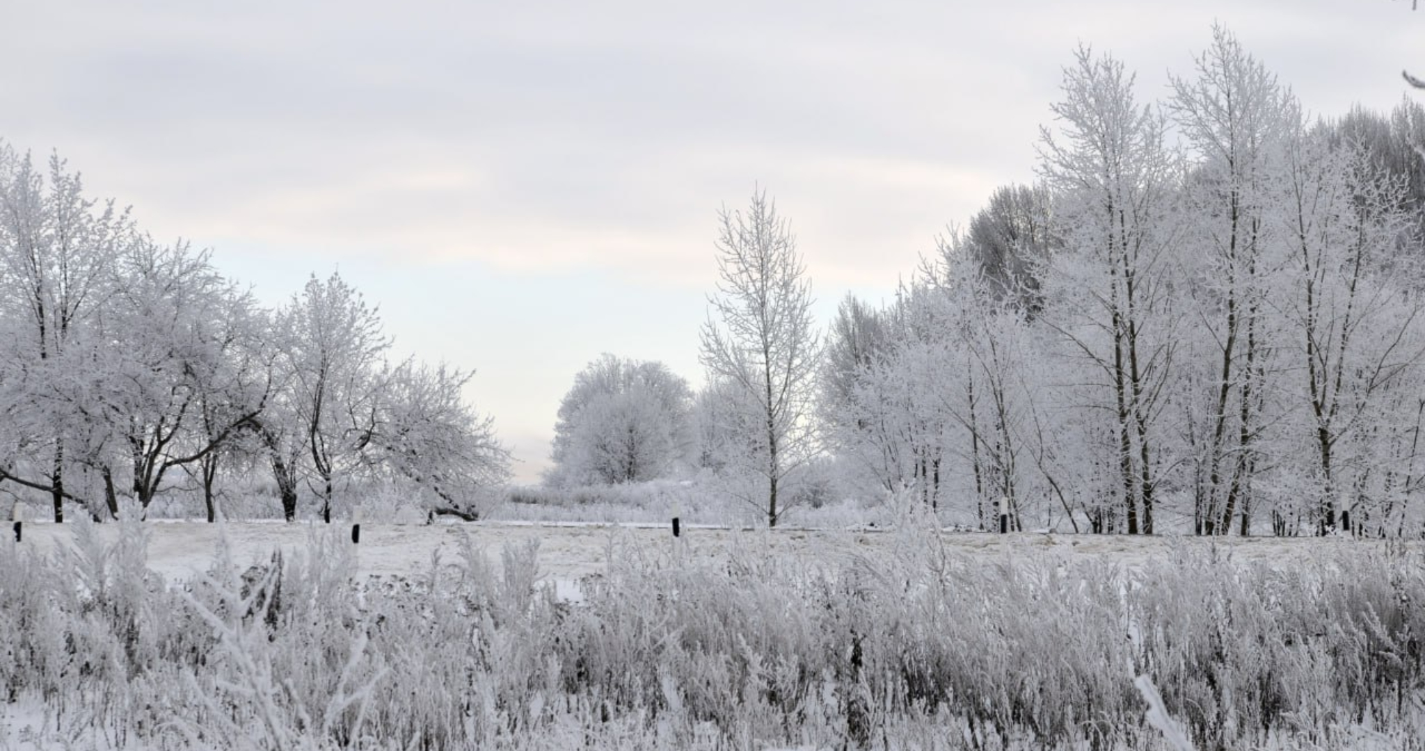 Отмена школьных занятий в Мордовии: список районов 