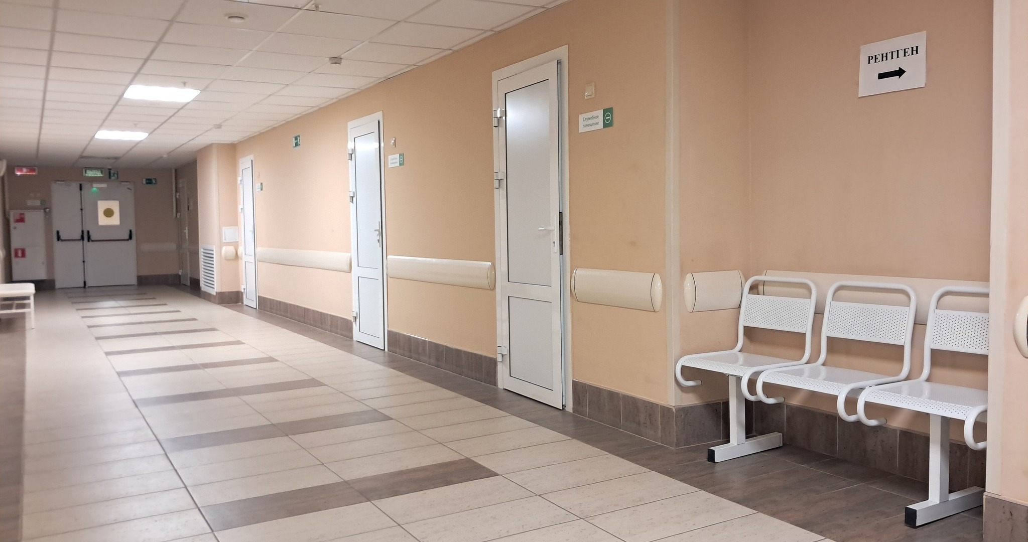 Молодой водитель оказался в больнице после ДТП с лосём 