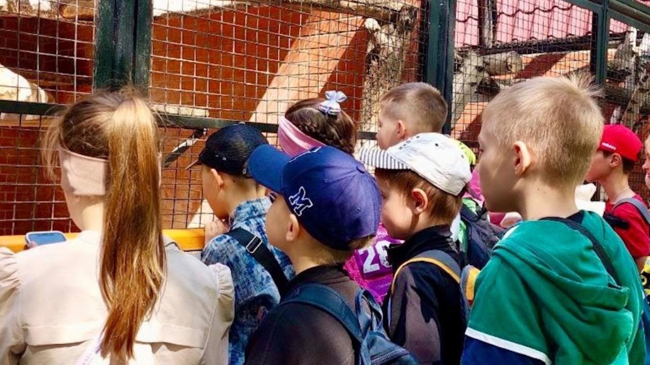 В Саранском зоопарке состоится забавный обед медведя В Саранском зоопарке состоится забавный обед медведя