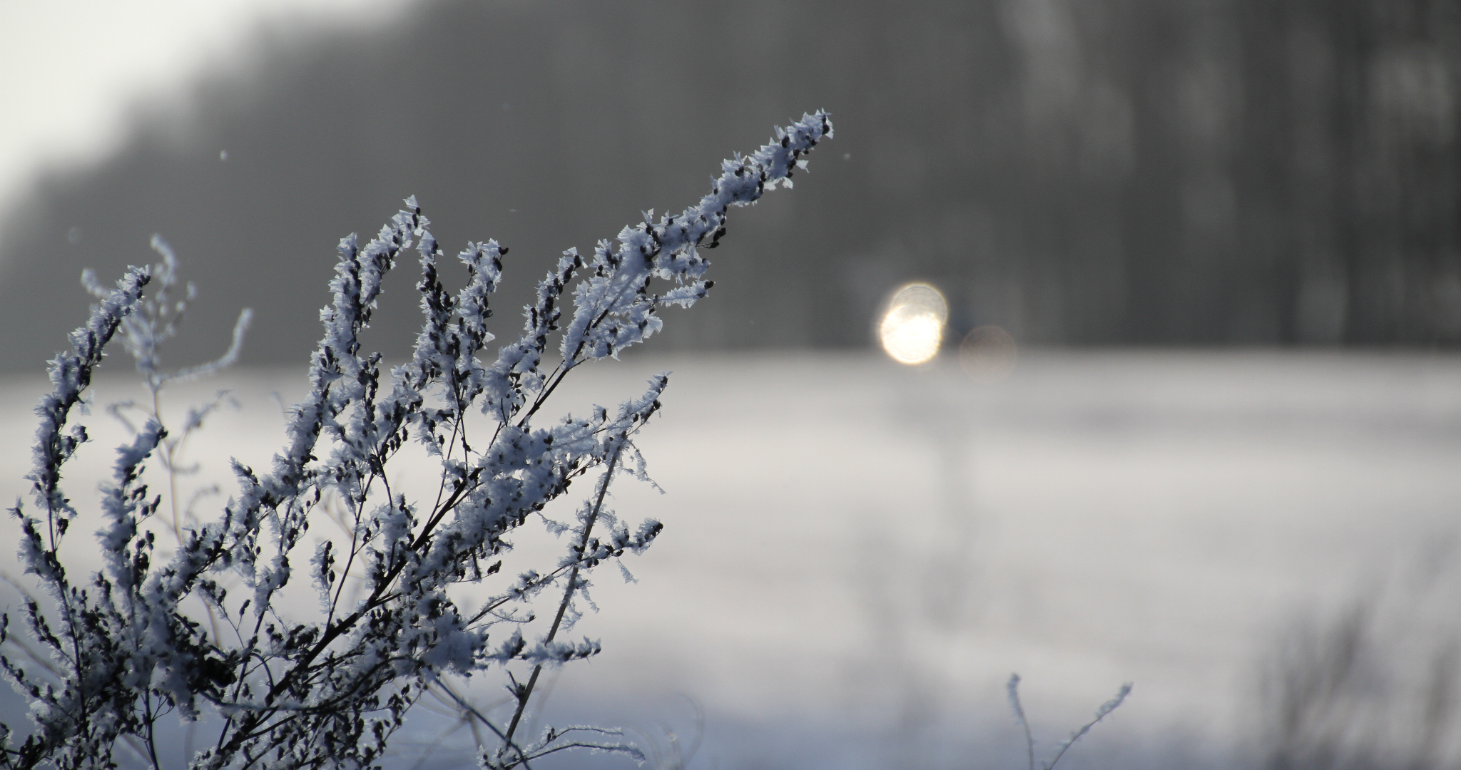 В Мордовии на 23 февраля объявили экстренное предупреждение 