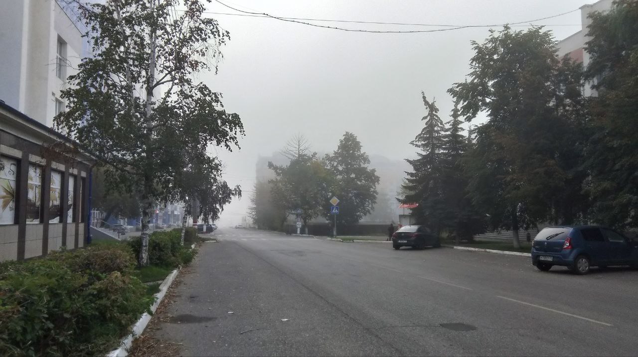 В Мордовии будет туманная суббота