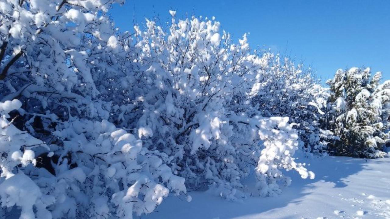 В воскресенье в Мордовии до -8°С и гололедица