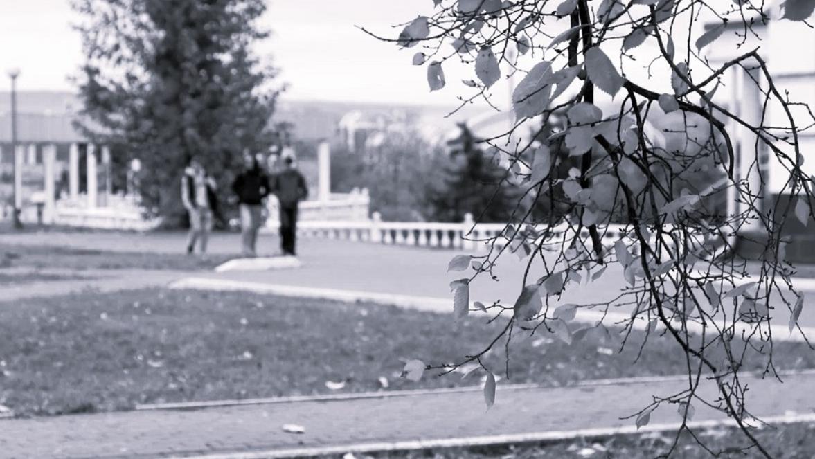 Жителей Саранска приглашают понять мир незрячих 